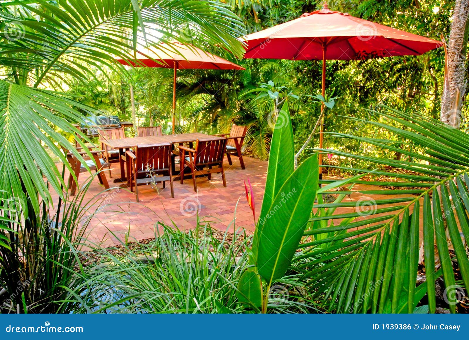 Tropical Backyard Garden Setting Stock Photo Image Of Architecture