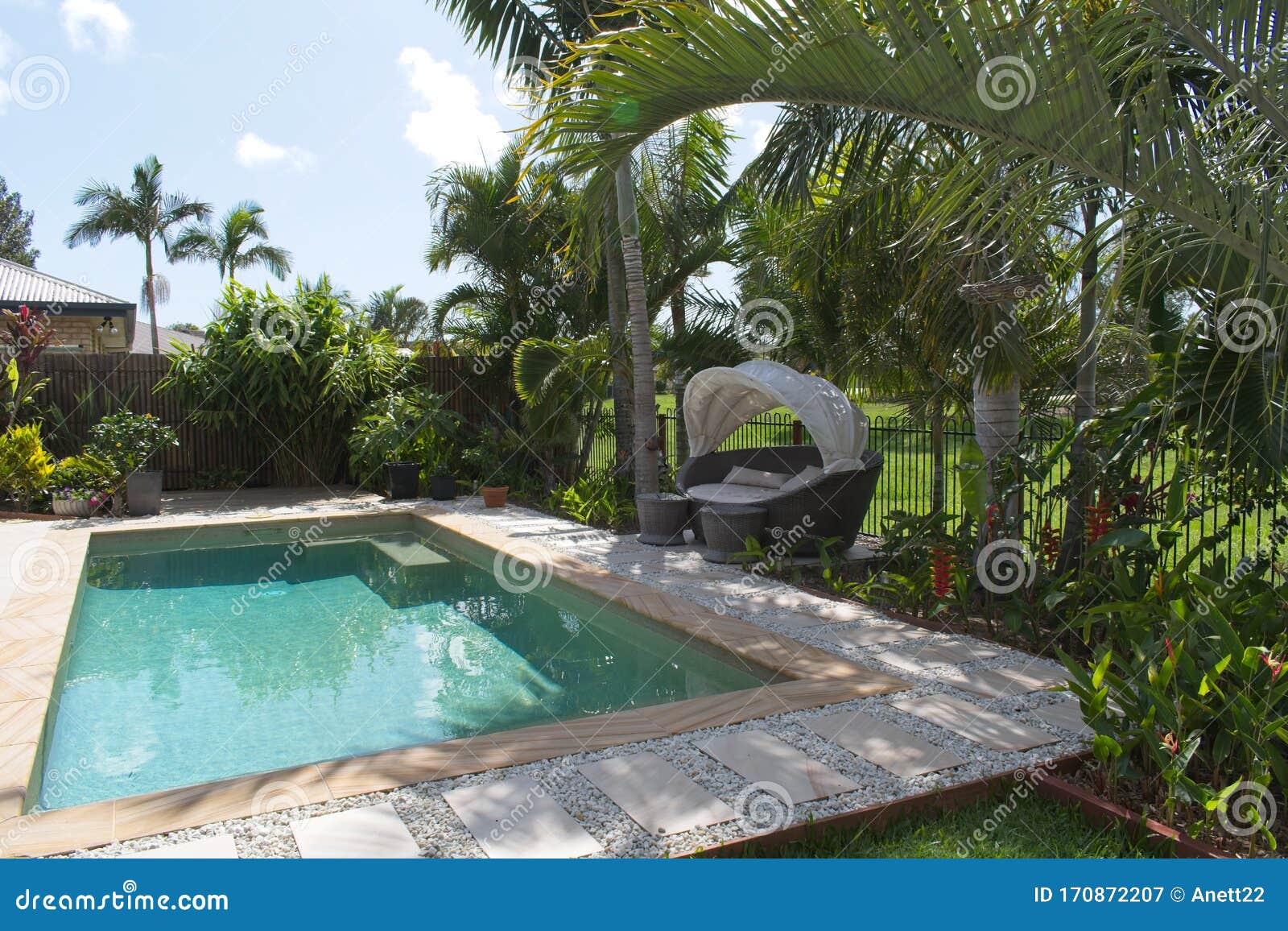 Tropical Backyard With Swimming Pool In Queensland Australia Stock Image Image Of Swimming Pool 170872207