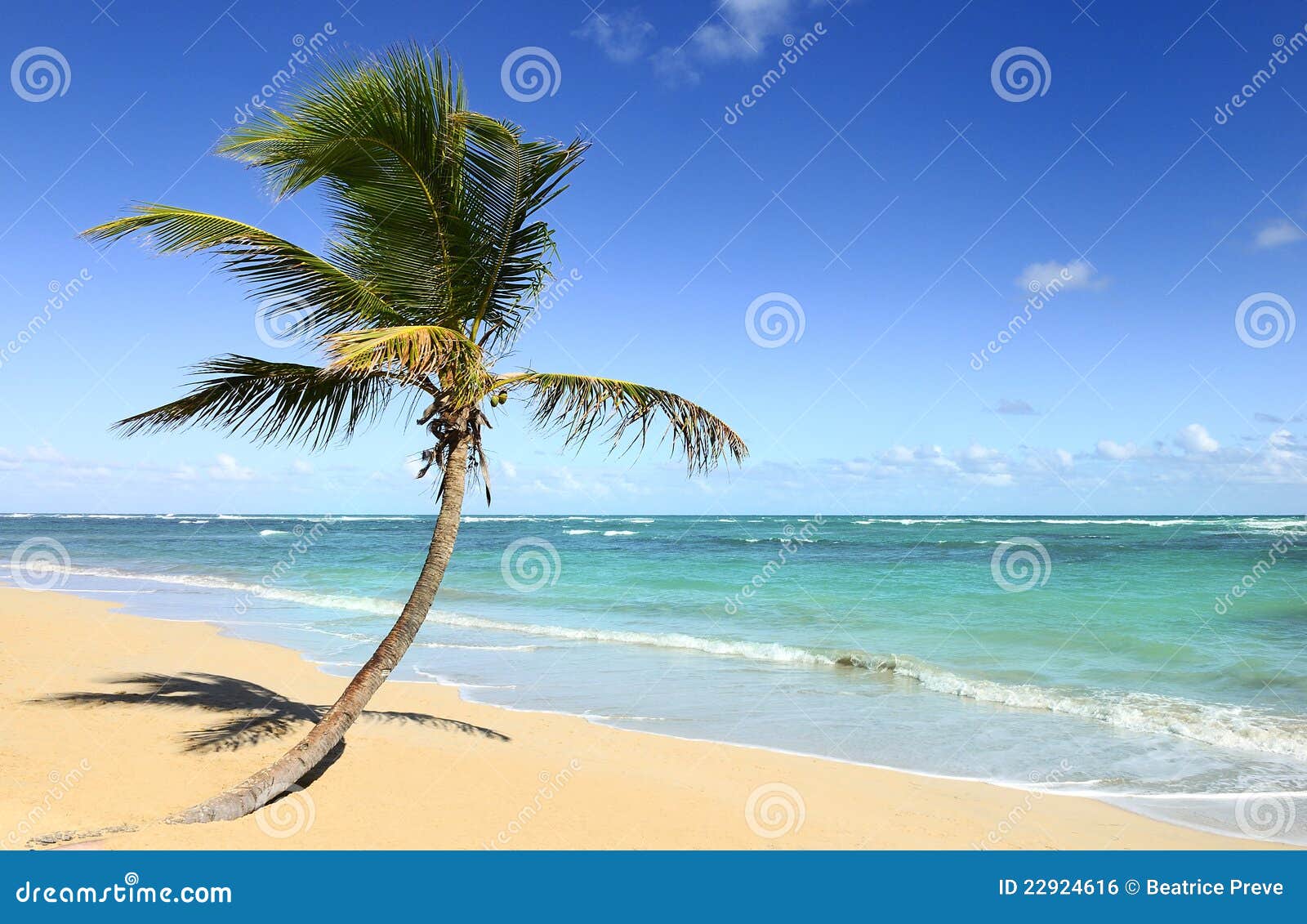 Tropical beach stock photo. Image of seascape, coconut - 22924616
