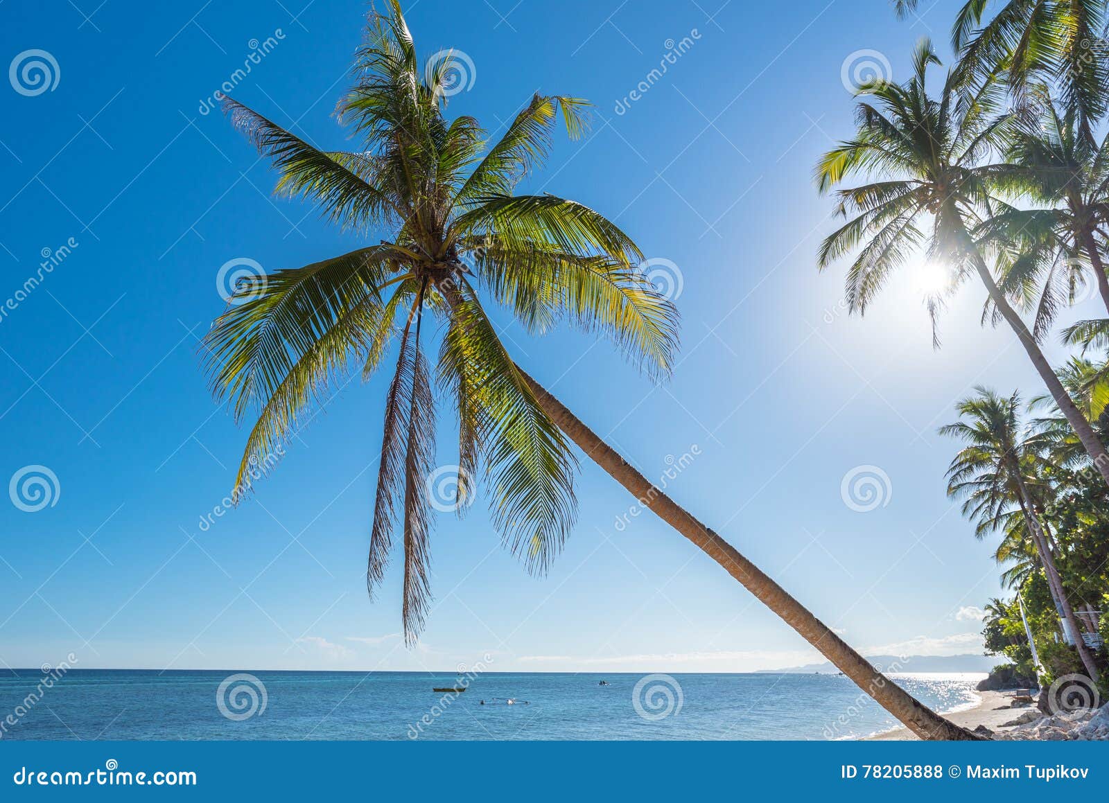 tropical beach background from anda beach bohol island