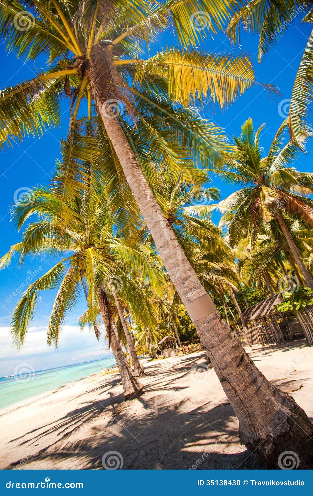 Tropical Beach with Beautiful Palms and White Sand Stock Photo - Image ...