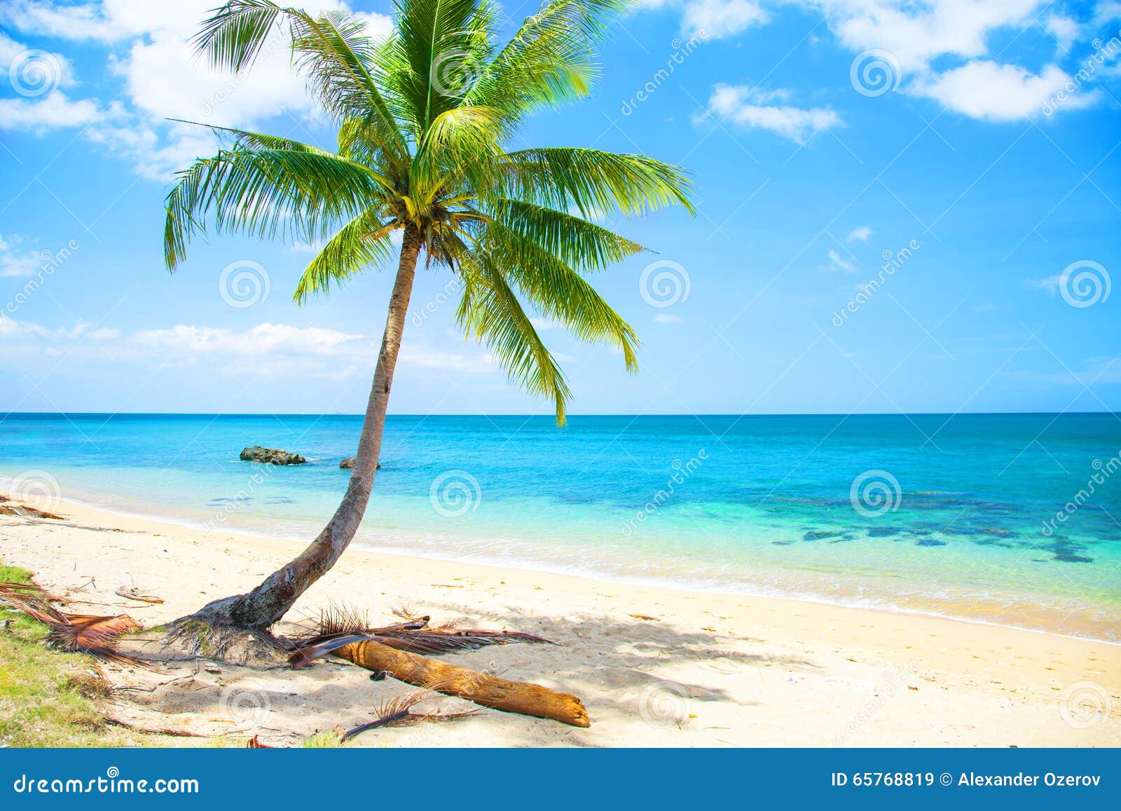 Tropical Beach With Coconut Palm And Sea Stock Image Image Of Space Backdrop