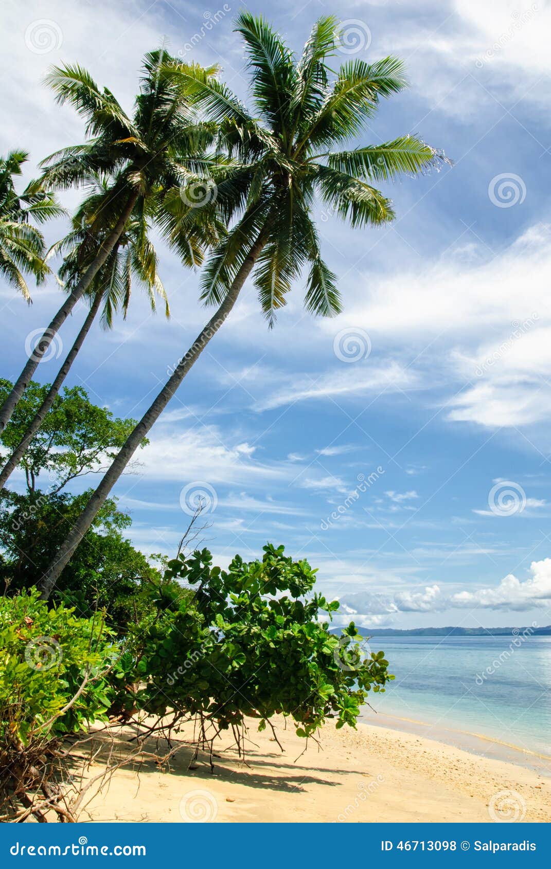 Tropical beach stock photo. Image of natural, sulawesi - 46713098