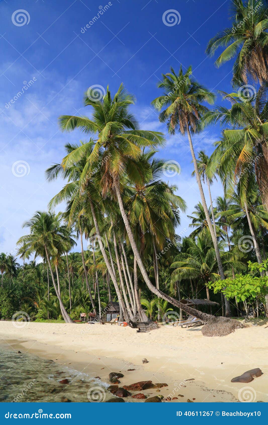 Tropical beach stock image. Image of island, exotic, journey - 40611267