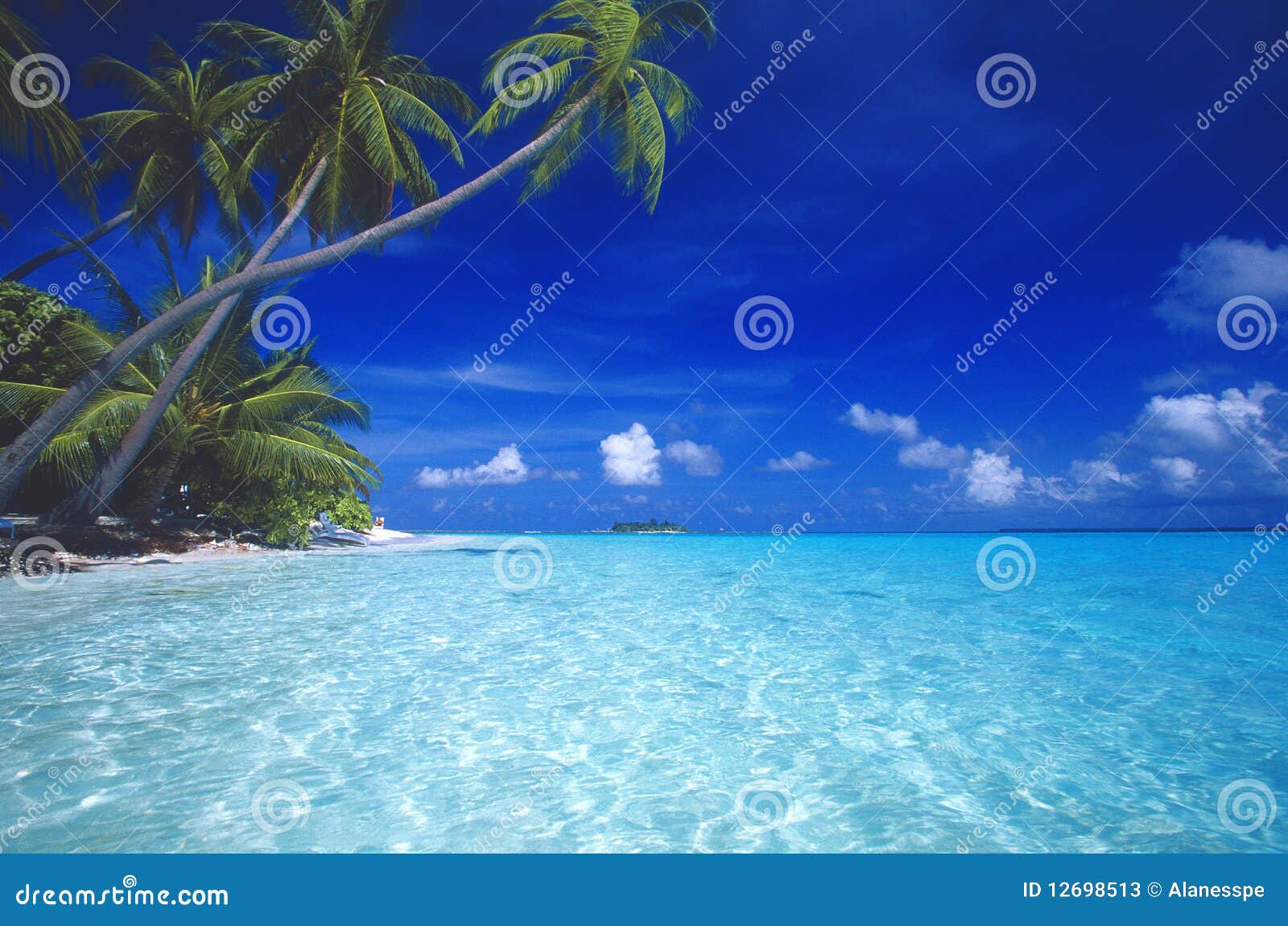 tropical beach maldives