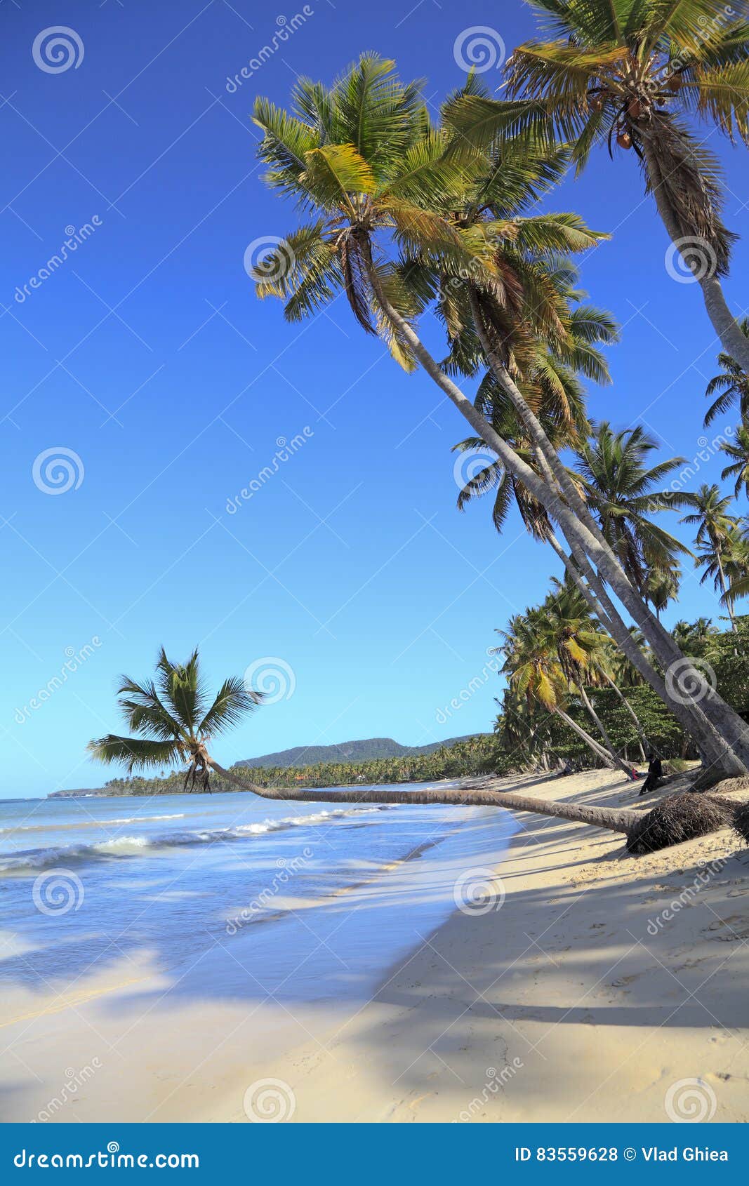 tropical beach near las galeras village in samana area, dominican republic
