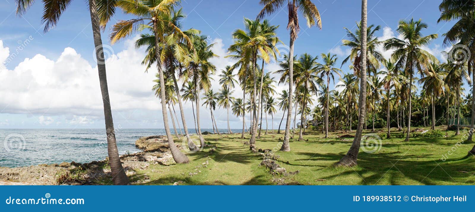 tropical beach and ocean island setting in samana, dominican republic.