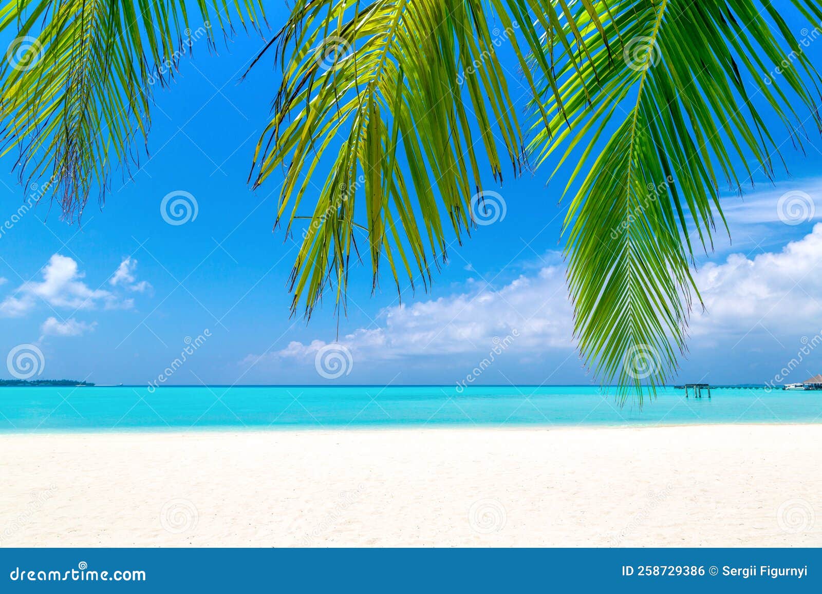 Tropical Beach and Palm Leaves Stock Photo Image of journey, leaf