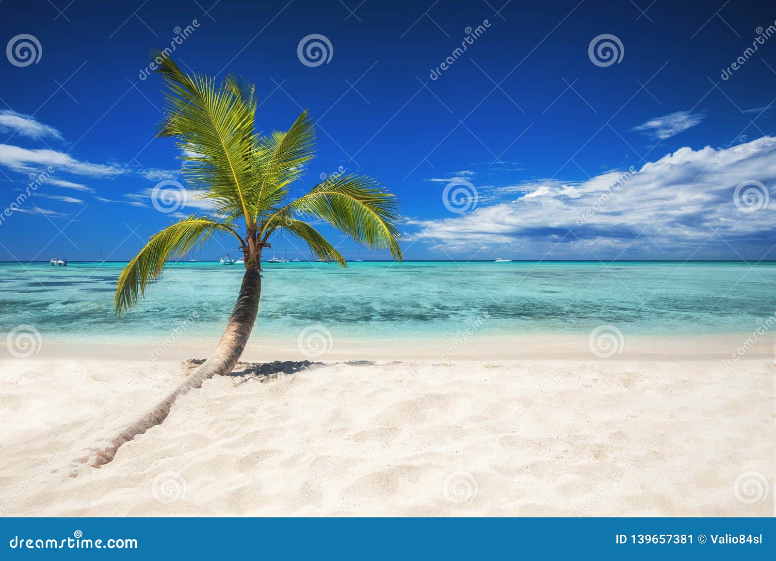 Tropical Beach with Palm Tree. Holiday and Vacation Concept Stock Image ...