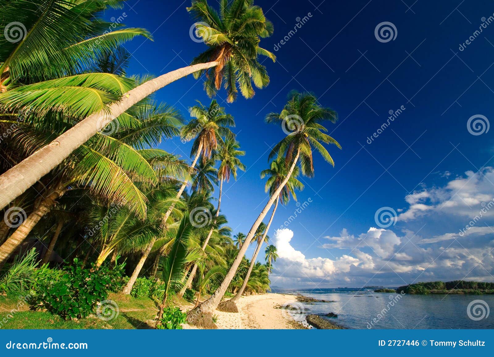 Tropical beach paradise stock photo. Image of caribbean - 2727446