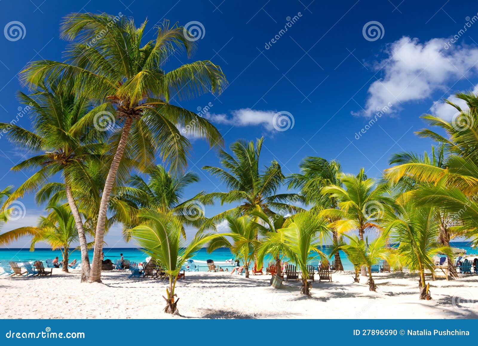 tropical beach, saona island,