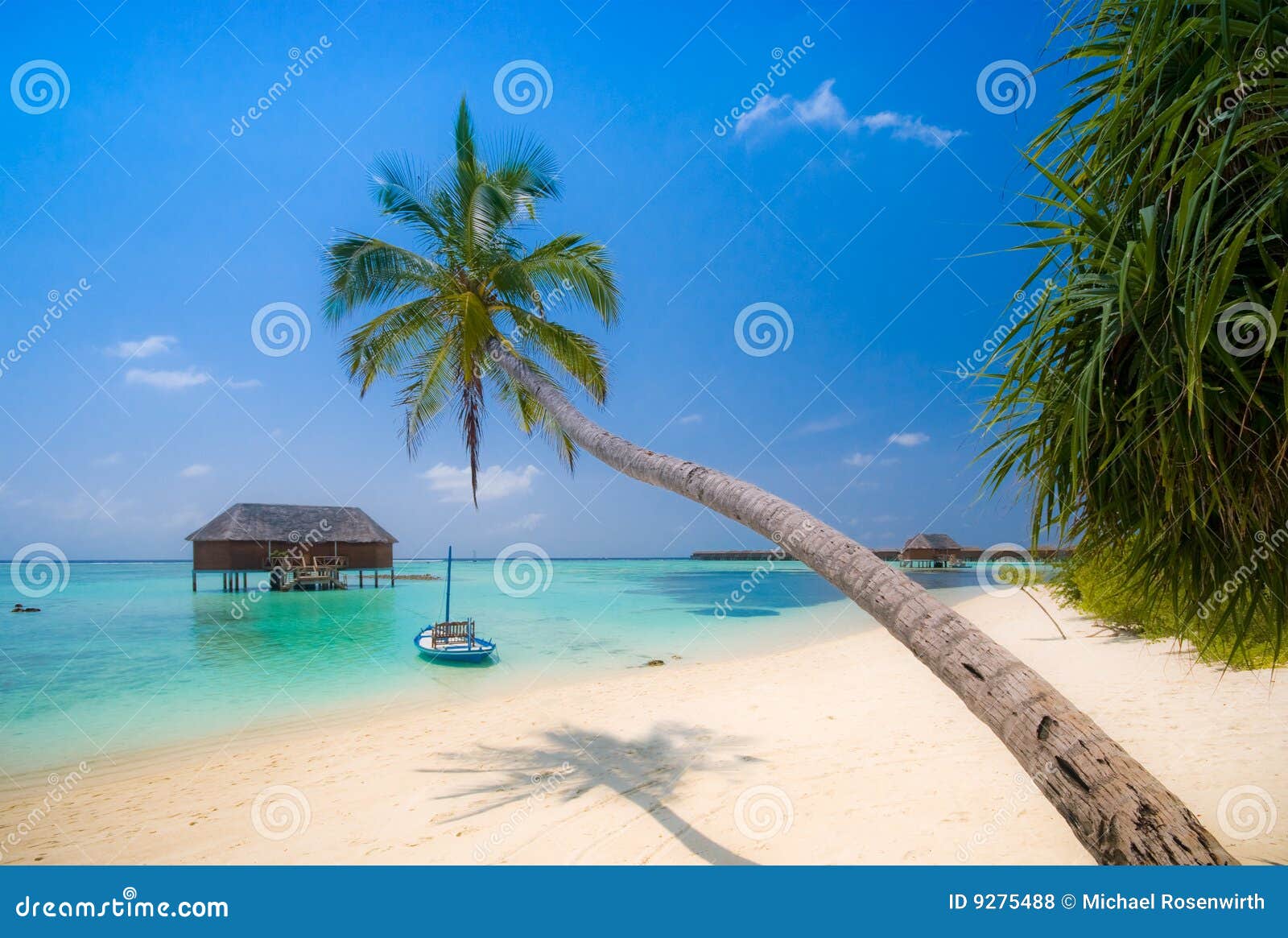Tropical beach scenery stock photo Image of relaxation 