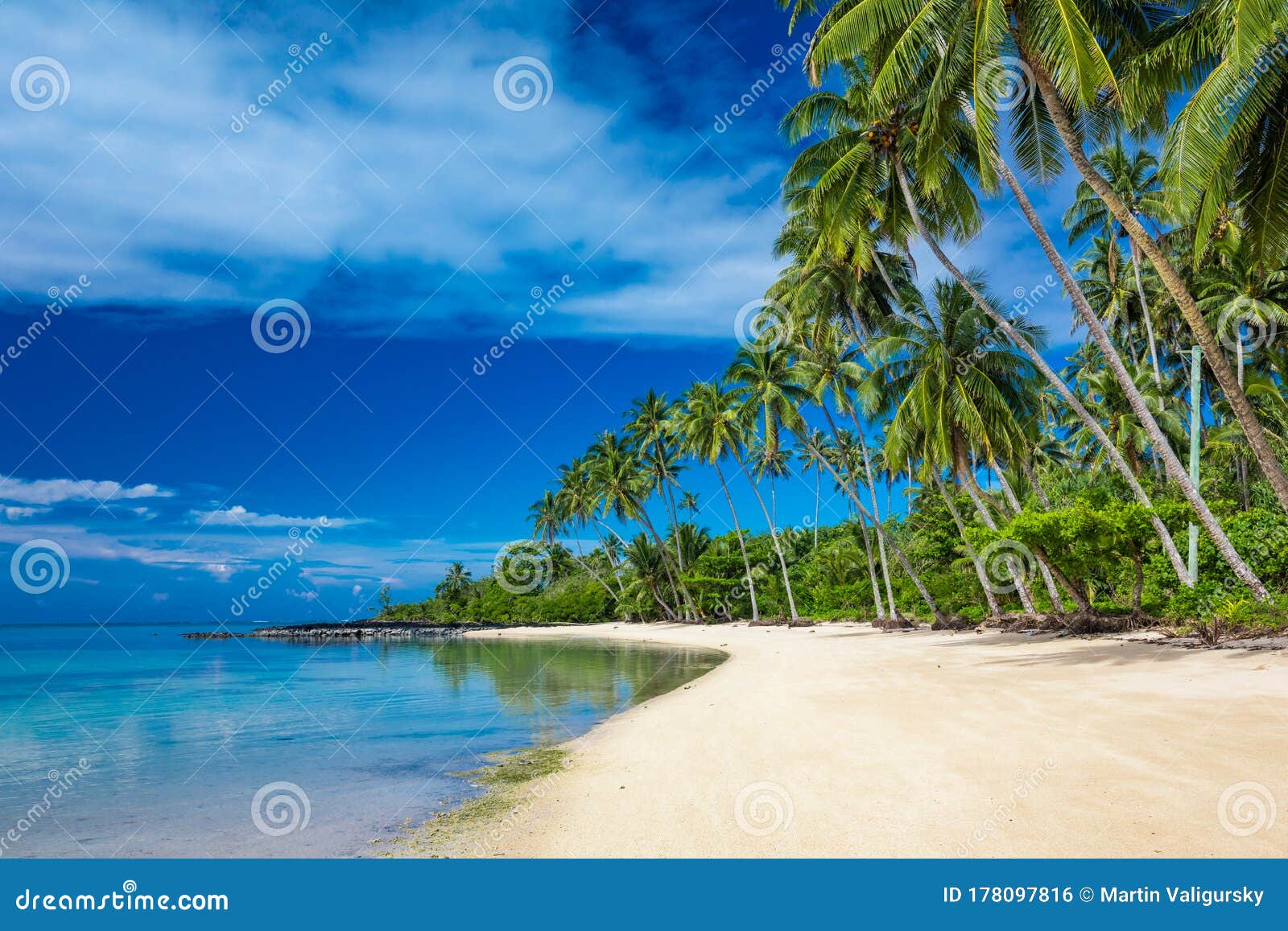 Tropical Beach on South Side of Samoa Island with Coconut Palm Trees ...