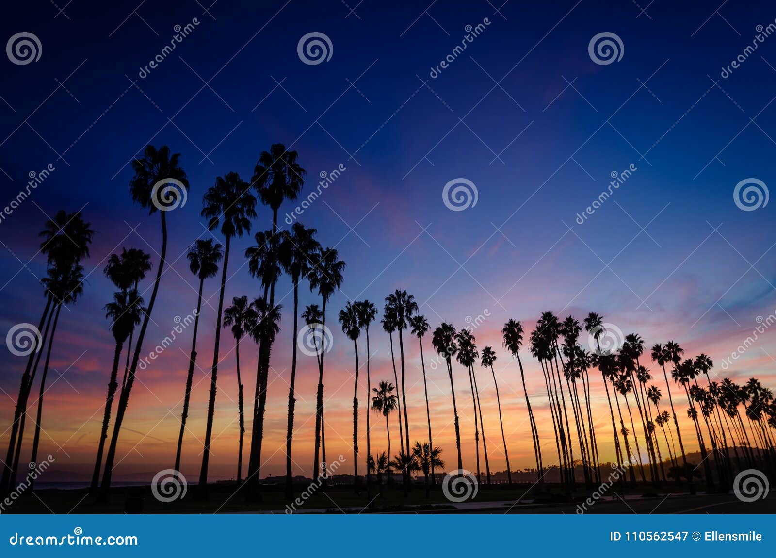 Tropical Beach Sunset with Palm Trees in Santa Barbara, California ...