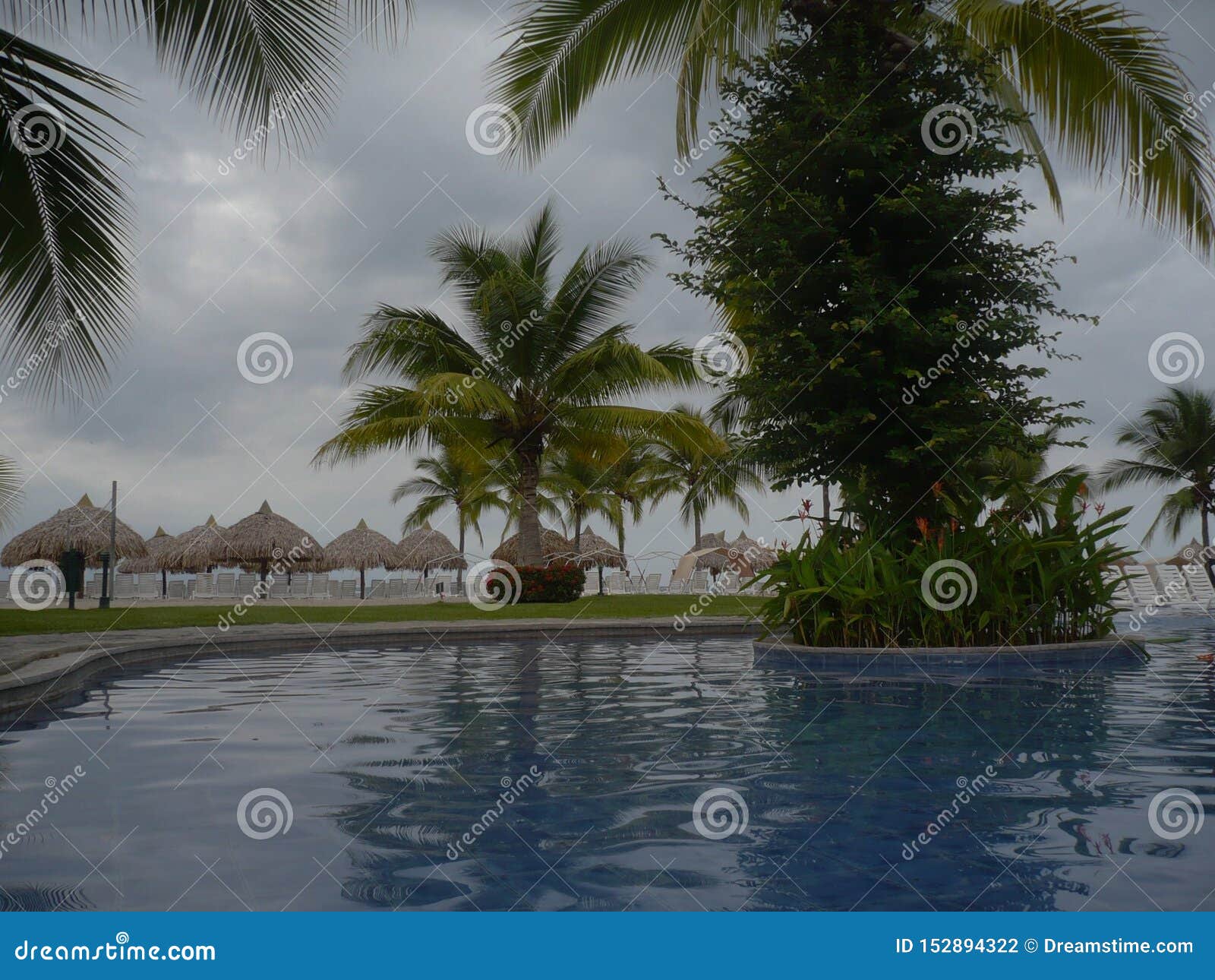 tropical beach with trees and pool