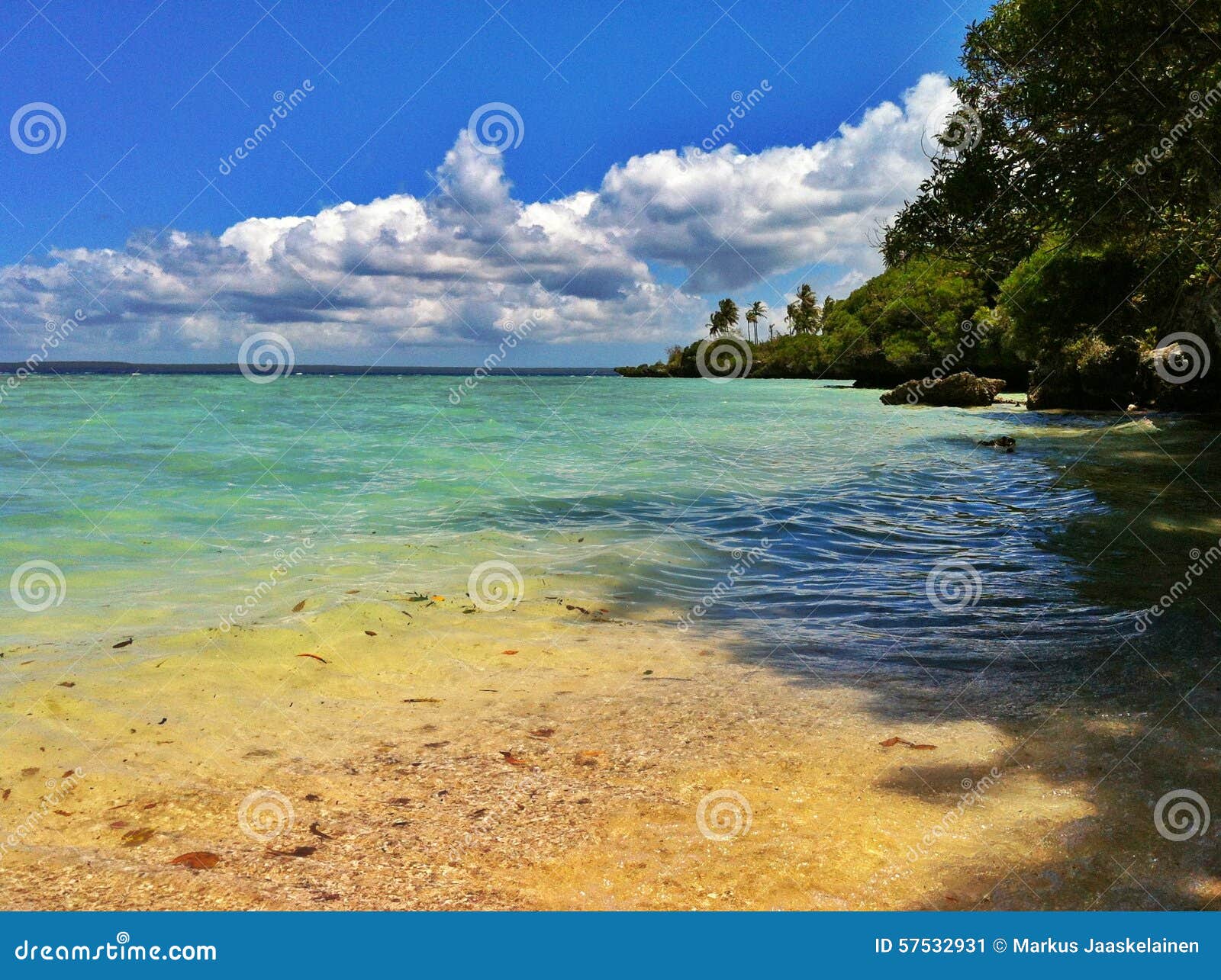 Tropical beach with vegetation in New Caledonia