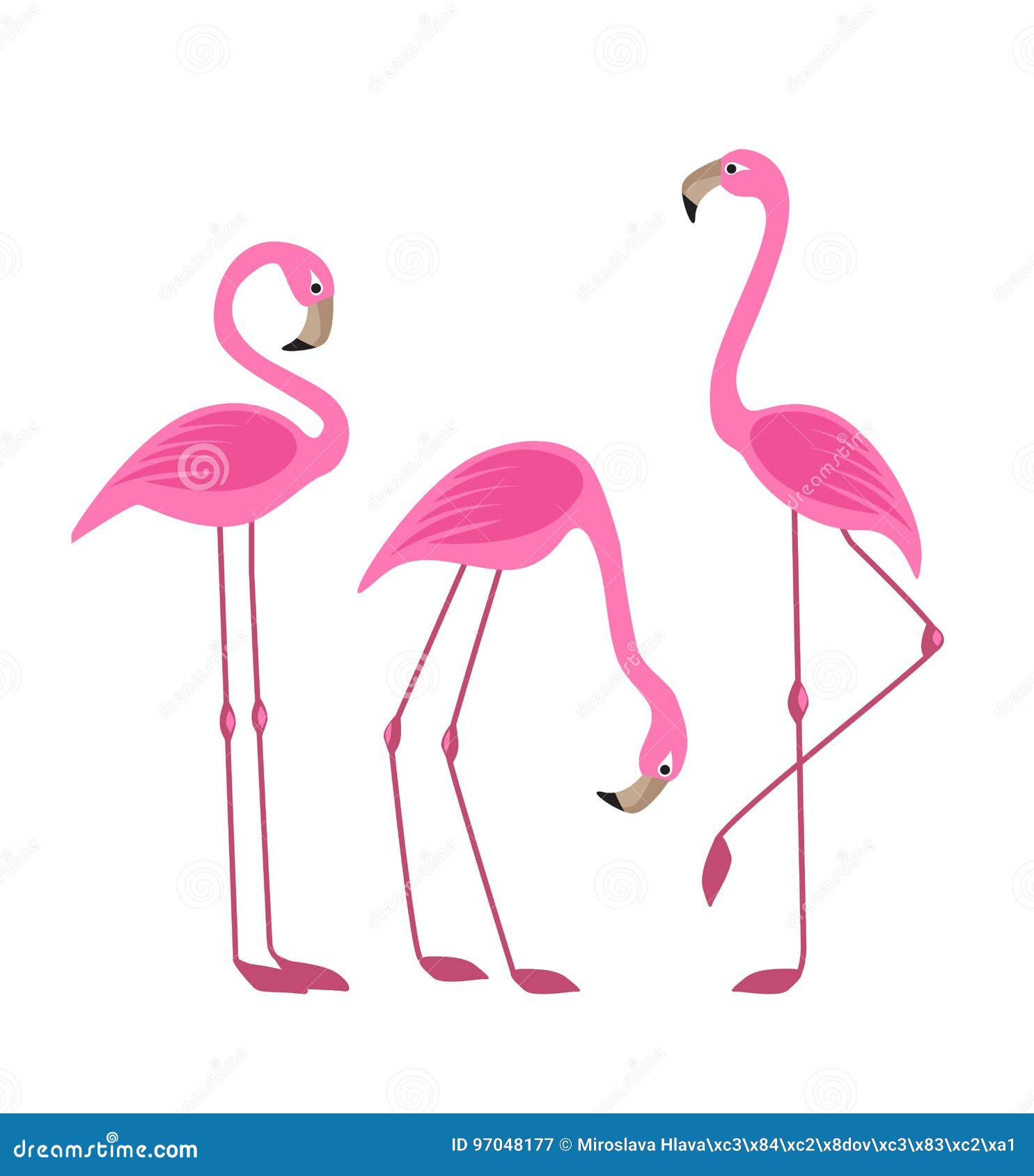 summer tropical flamingo clipart summer tropical flamingo clipart