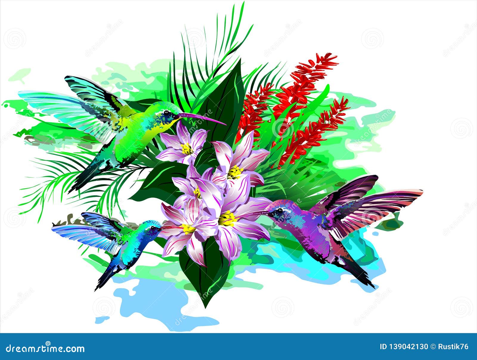 tropical birds. 