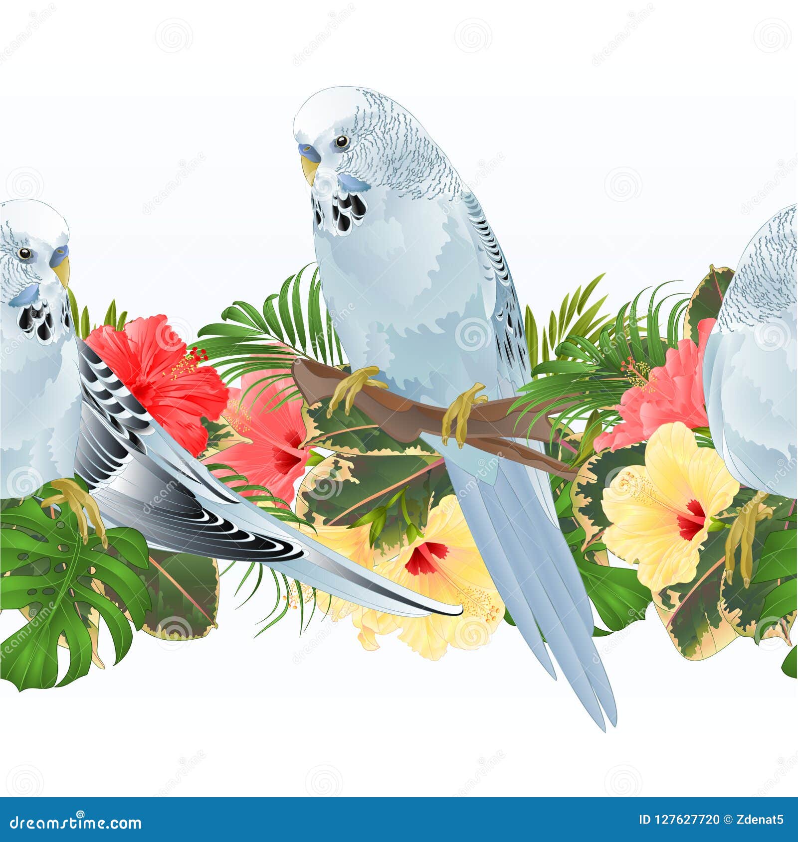 tropical border seamless background budgerigars, blue pet parakeets and hibiscus   for use in interior ,