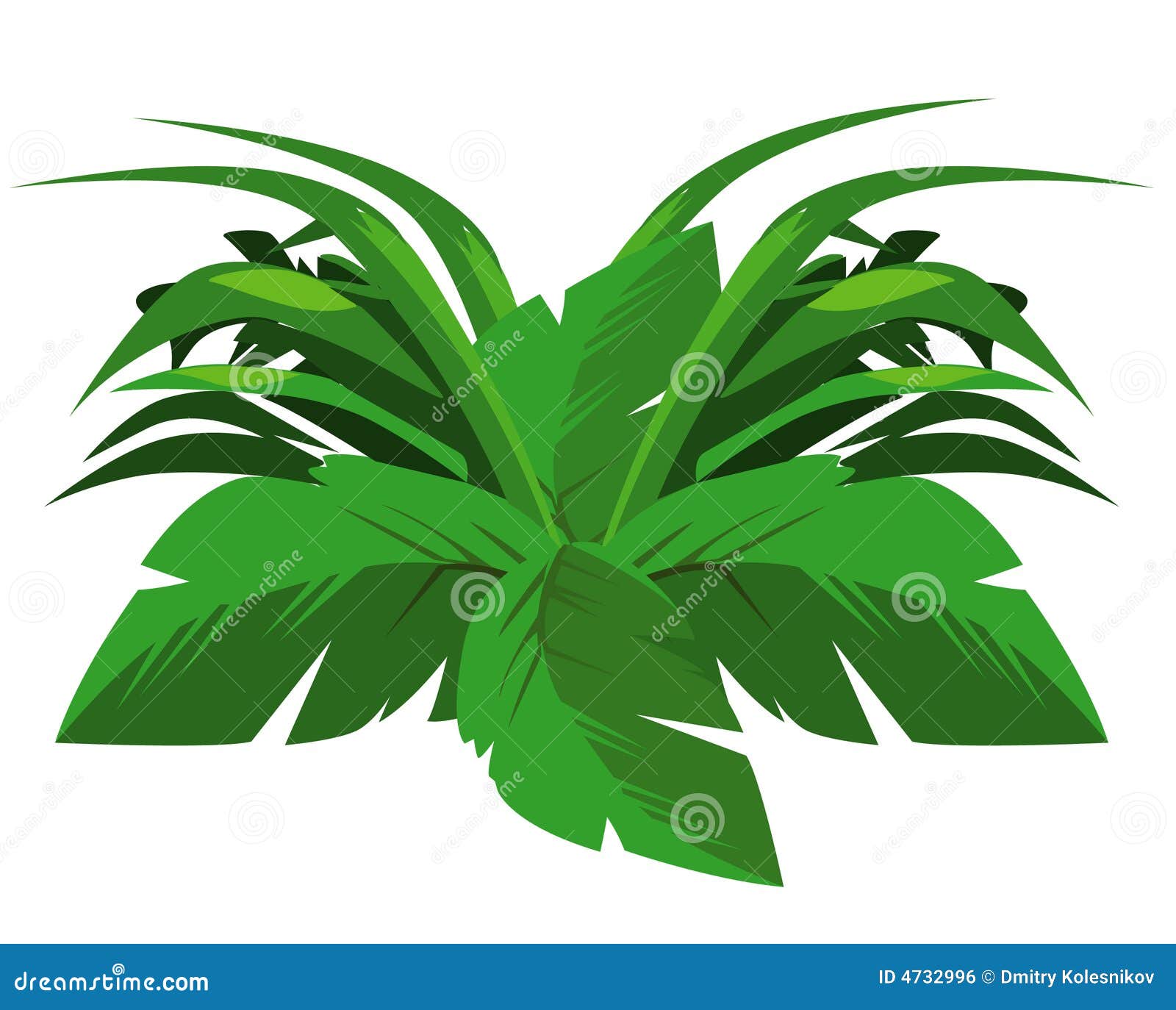 tropical bush