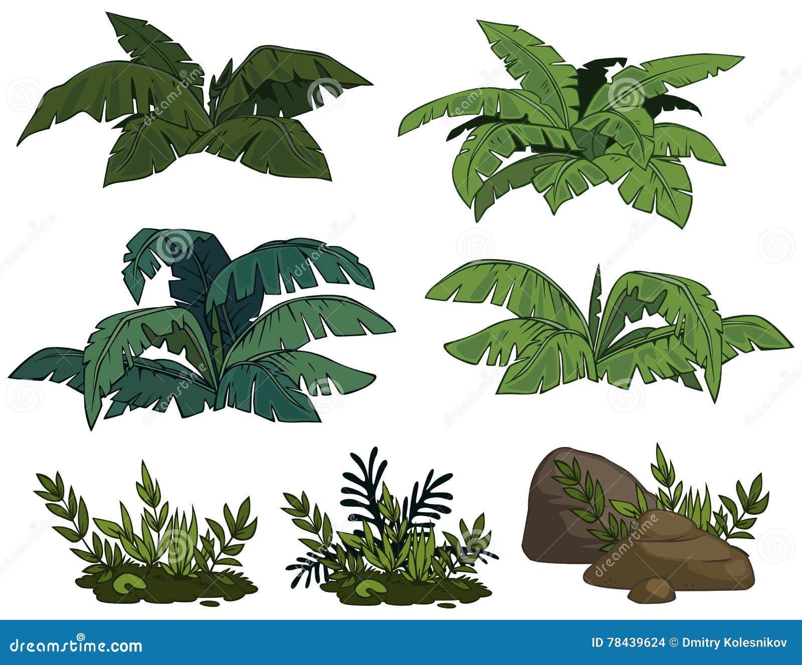 Jungle Plant Illustration, image size:1600x1327