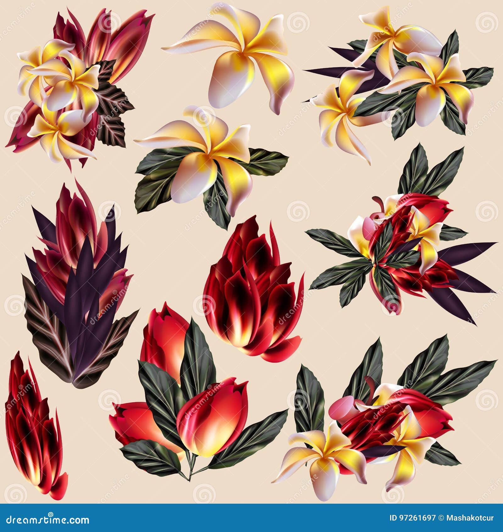 Tropical Collection of Mango and Other Flowers Stock Vector