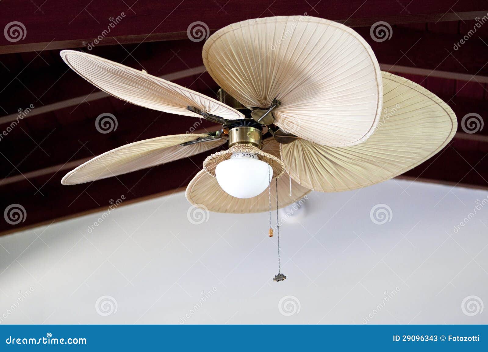 Tropical Electric Fan An Cealing Stock Image Image Of Funky