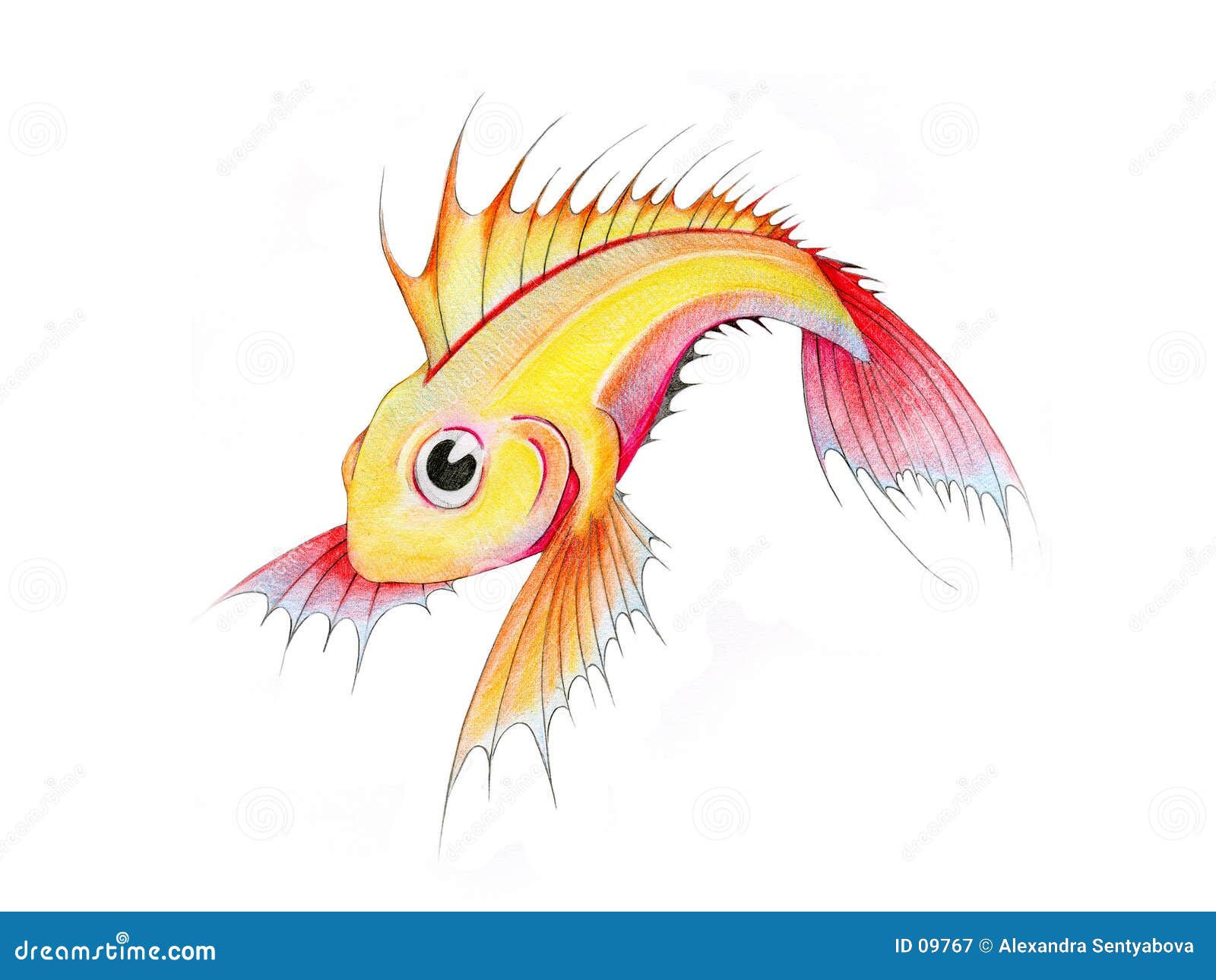 3,399 Fish Tank Drawing Images, Stock Photos, 3D objects, & Vectors |  Shutterstock