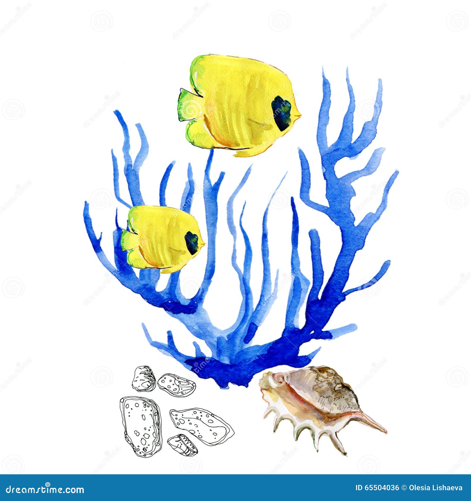 Tropical Fish, Seaweed Coral Algae and Shell. Stock Illustration ...