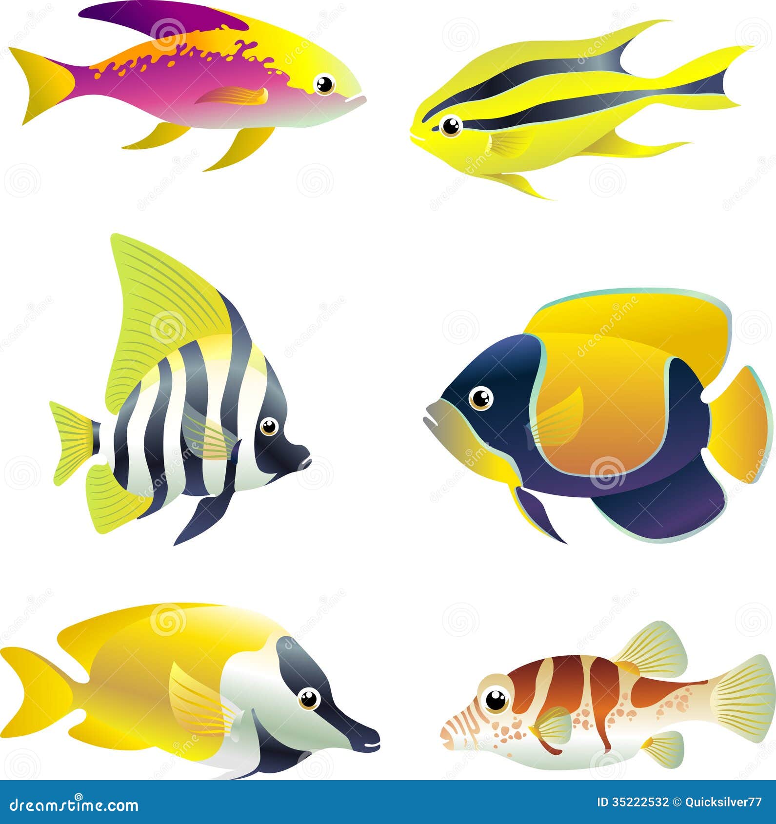 tropical fish identification