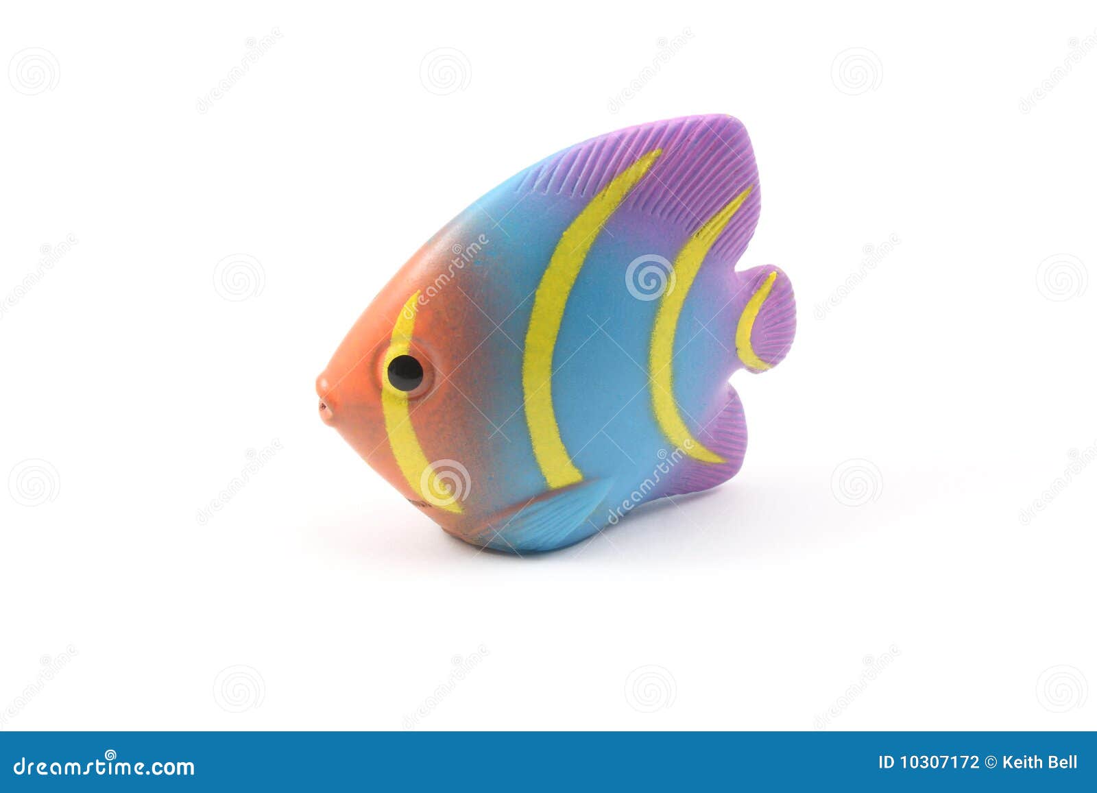 Tropical Fish Toy stock photo. Image of fish, aquatic 10307172