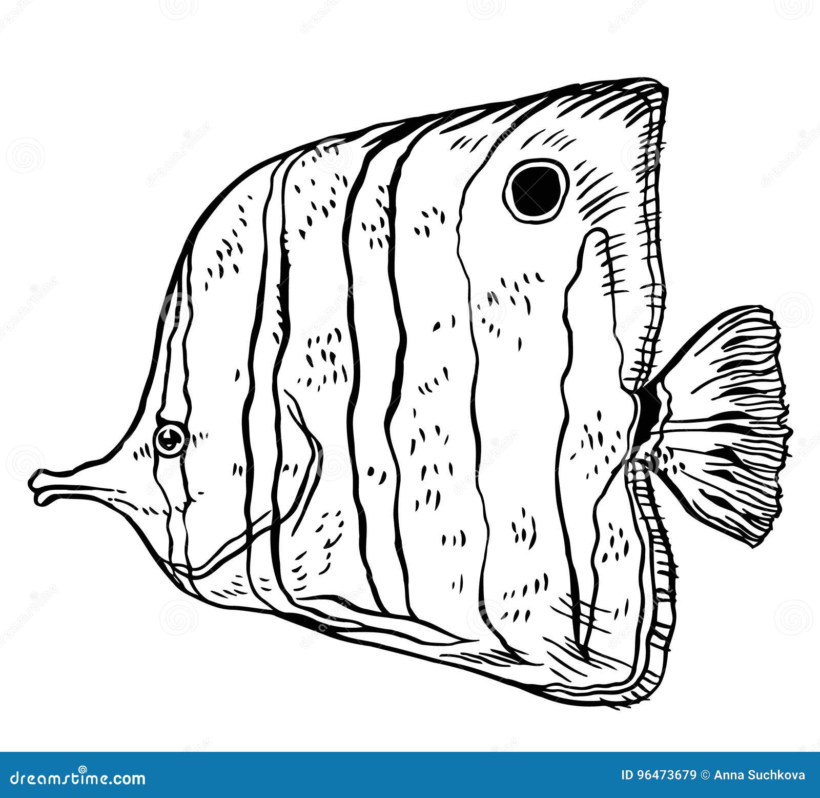 Tropical Fish Vector Hand Drawing Illustration Stock Vector