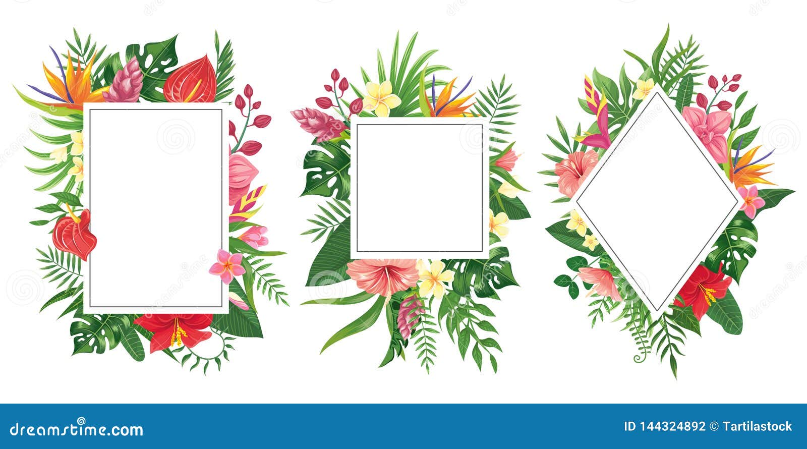 tropical flower frames. botanical tropics borders, tropic flowers invitation frame and summer plants green leaves 