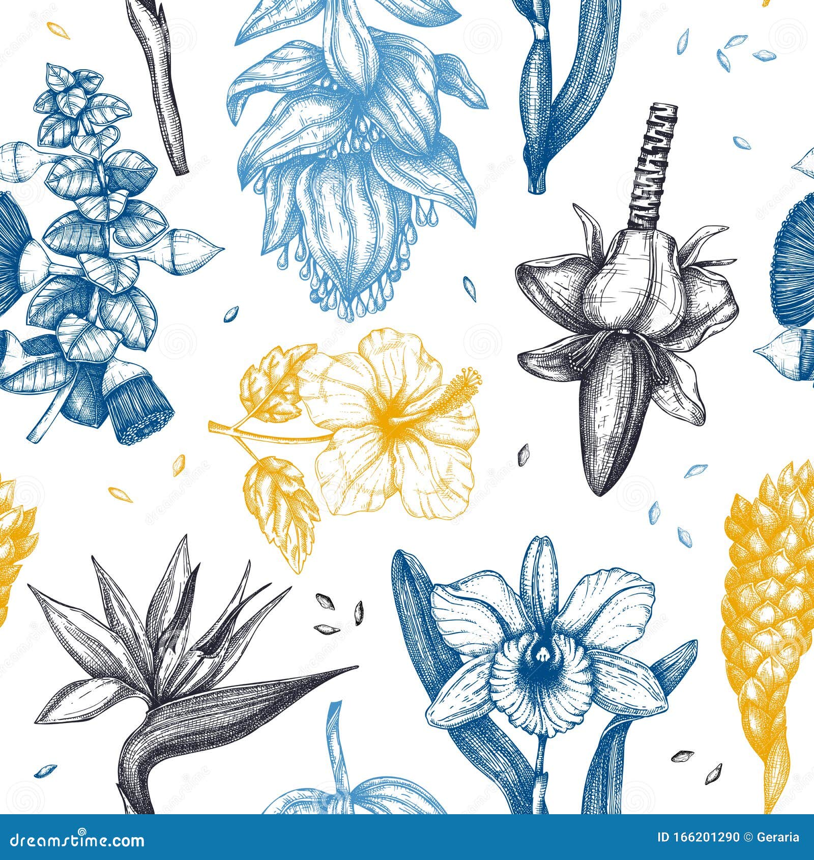 Tropical Flowers In Color Seamless Pattern 异国情调开花植物背景的矢量图 梅迪尼拉 鸟向量例证 插画包括有森林 设计