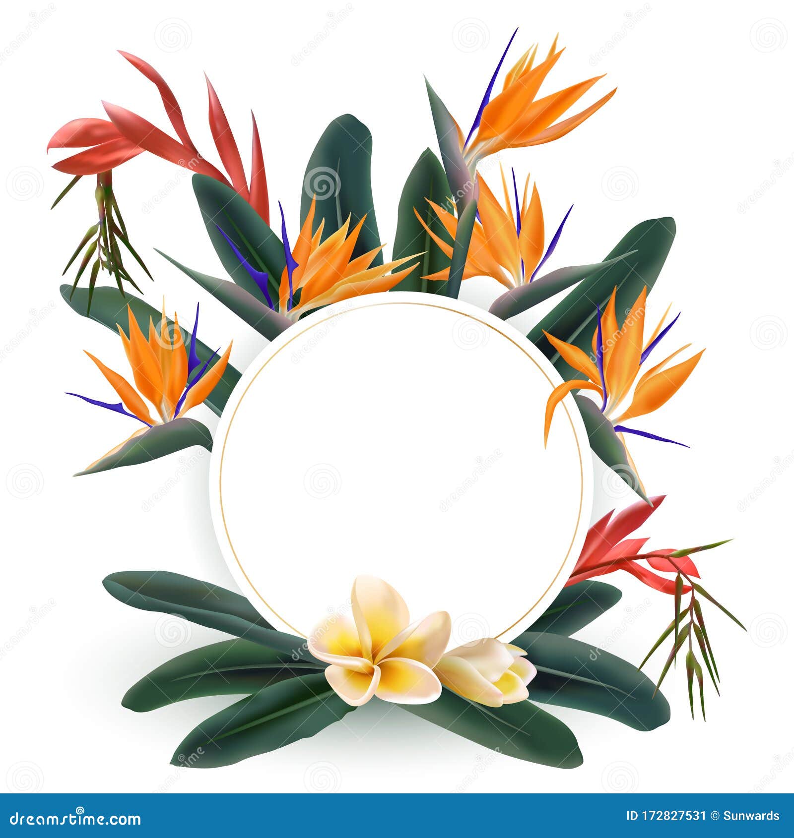 Tropical Flowers Bouquet Circle Frame Stock Vector - Illustration of ...