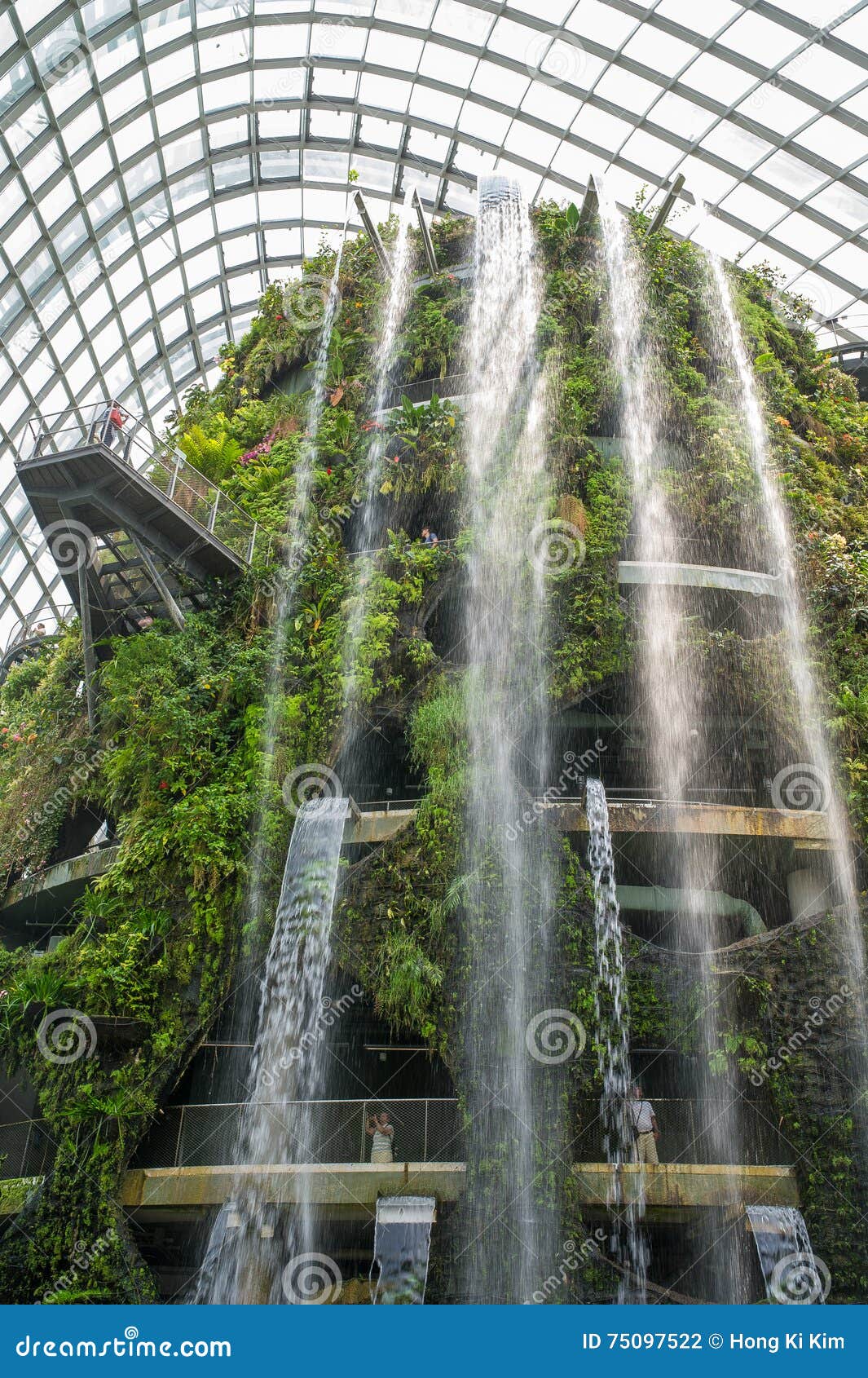 Tropical Forest Of Botanic Garden Singapore 1 Editorial Photography Image Of Architecture Nature 75097522