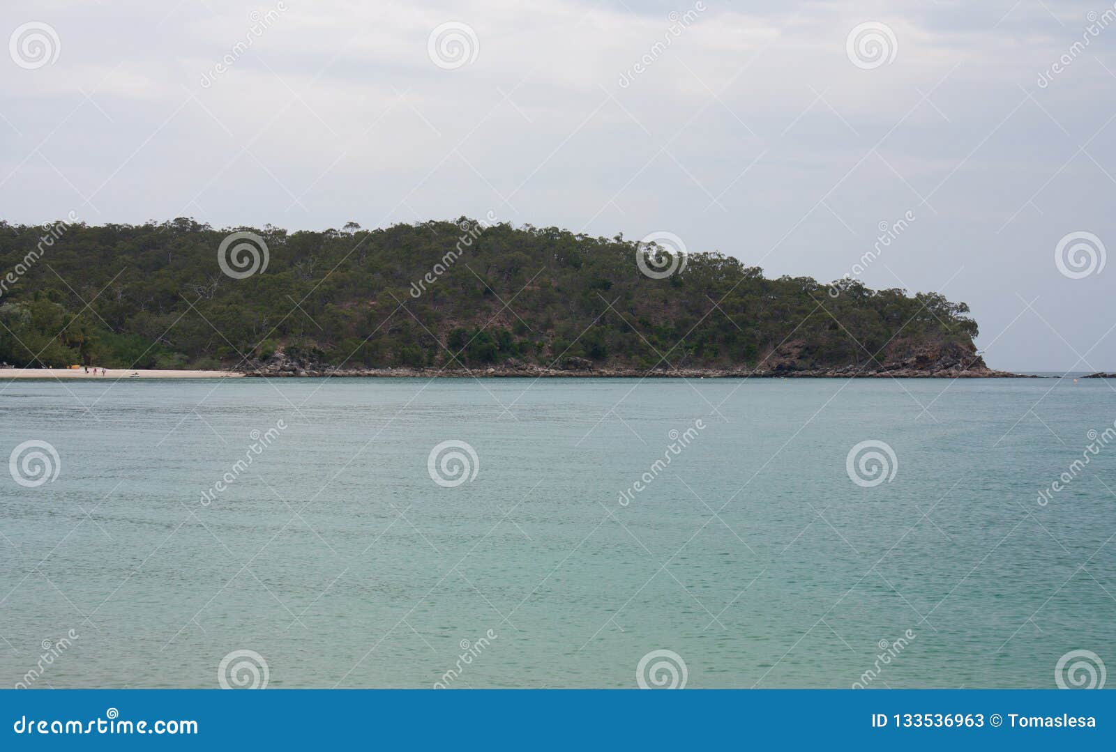 A Tropical Forest on the Great Keppel Island in the Tropic of Capricorn