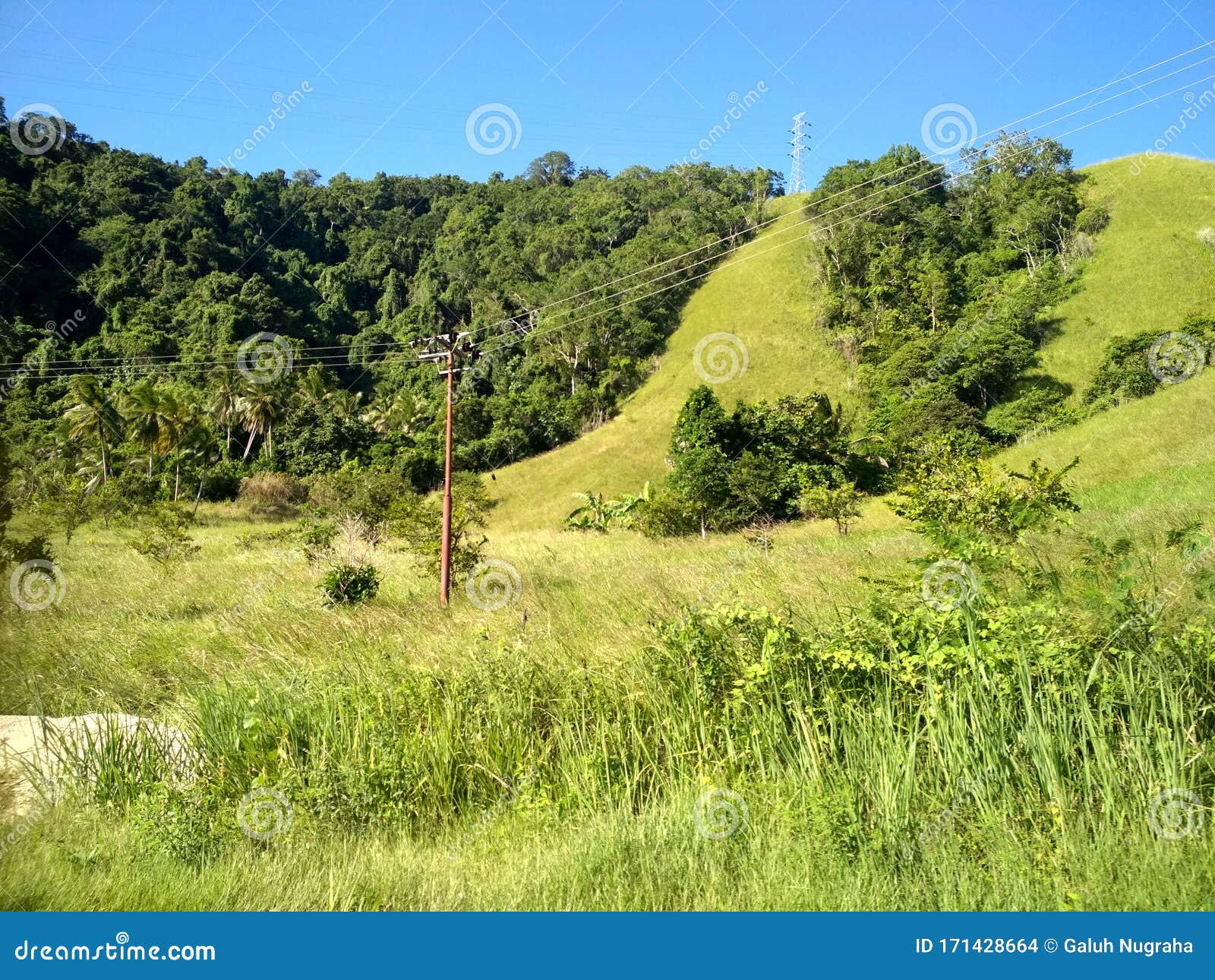 comunication wire in green savana hill papua indonesia