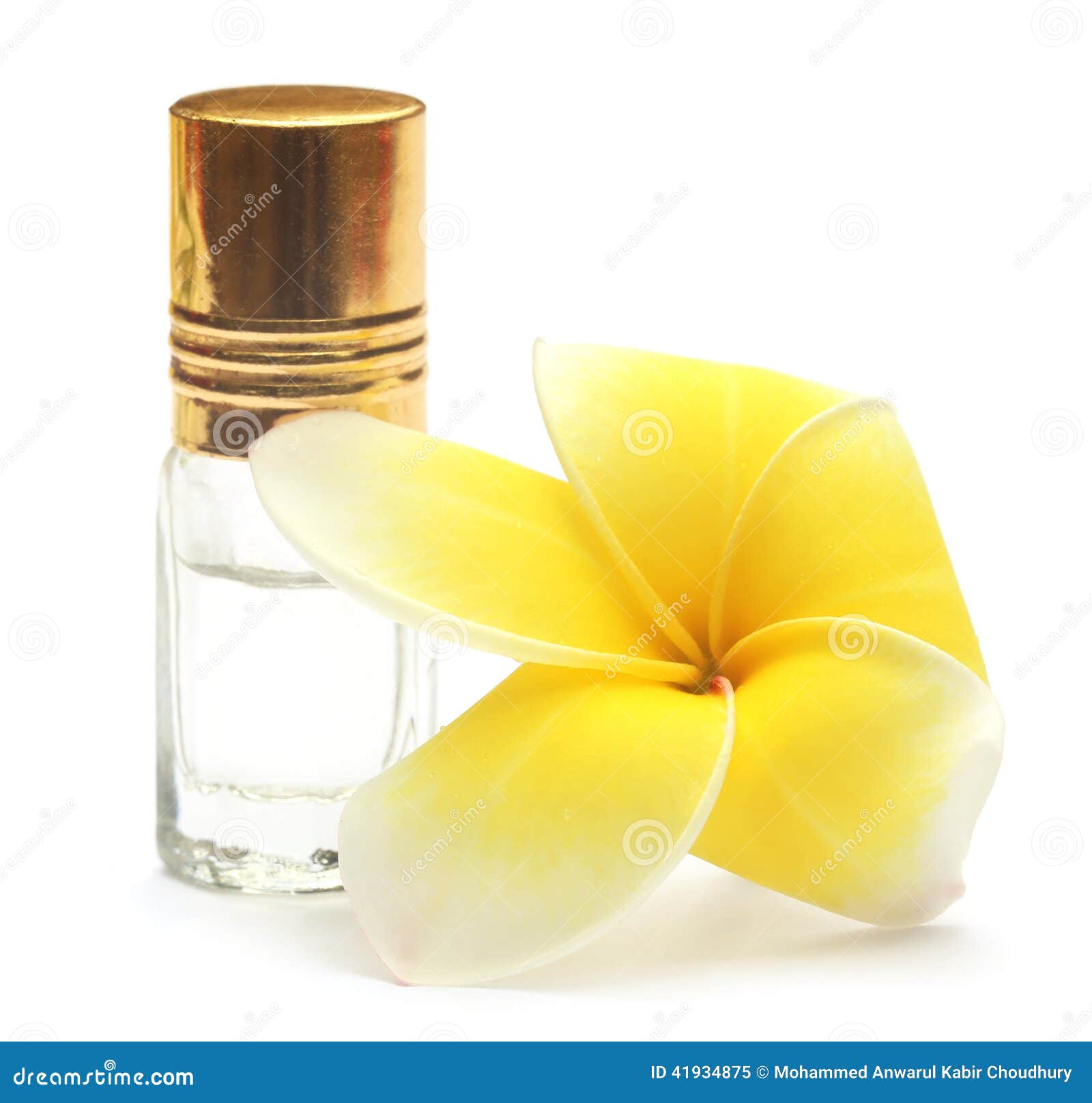 Tropical Frangipani with Perfume Bottle Stock Image Image of nature