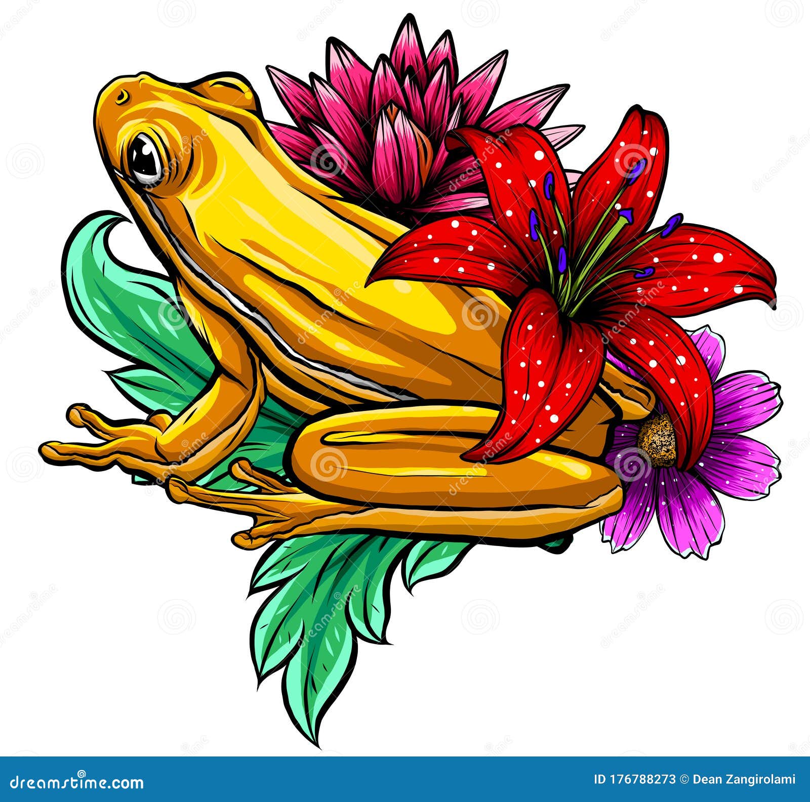 Coqui Cartoons, Illustrations & Vector Stock Images 17 Pictures to download from