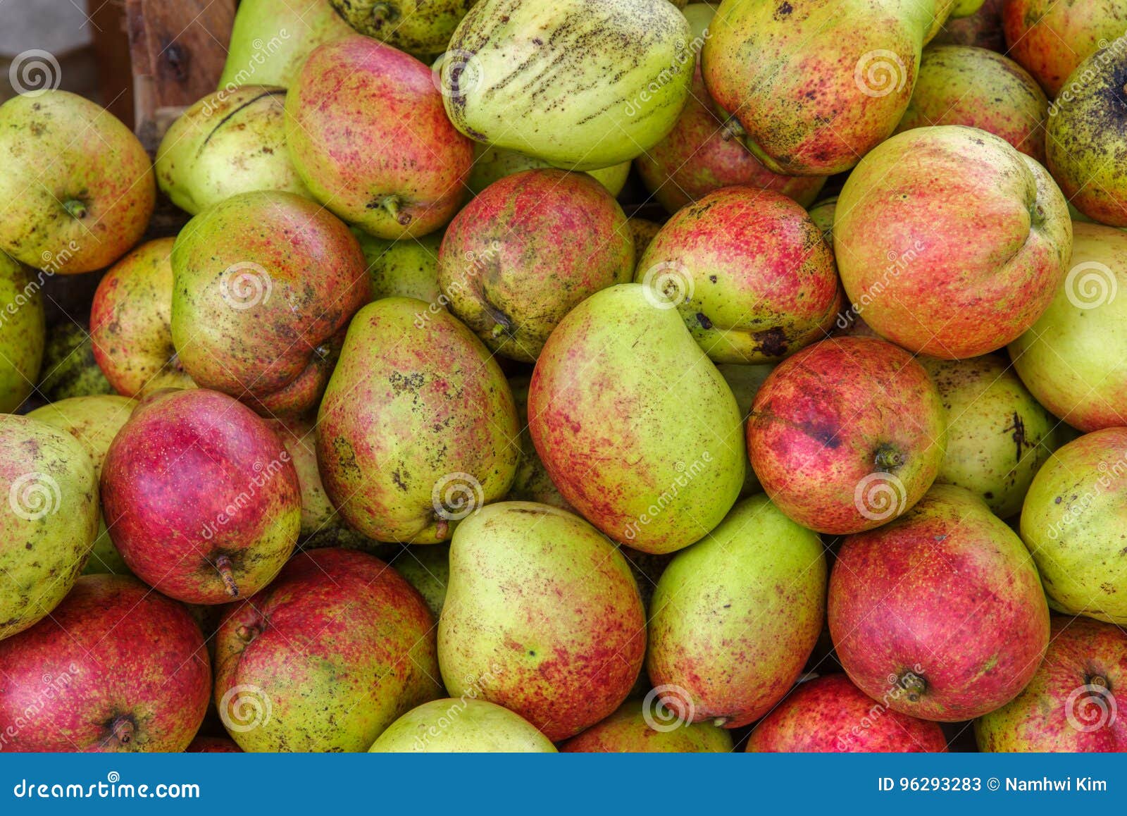 Tropical fruit apple mango stock image. Image of green 96293283