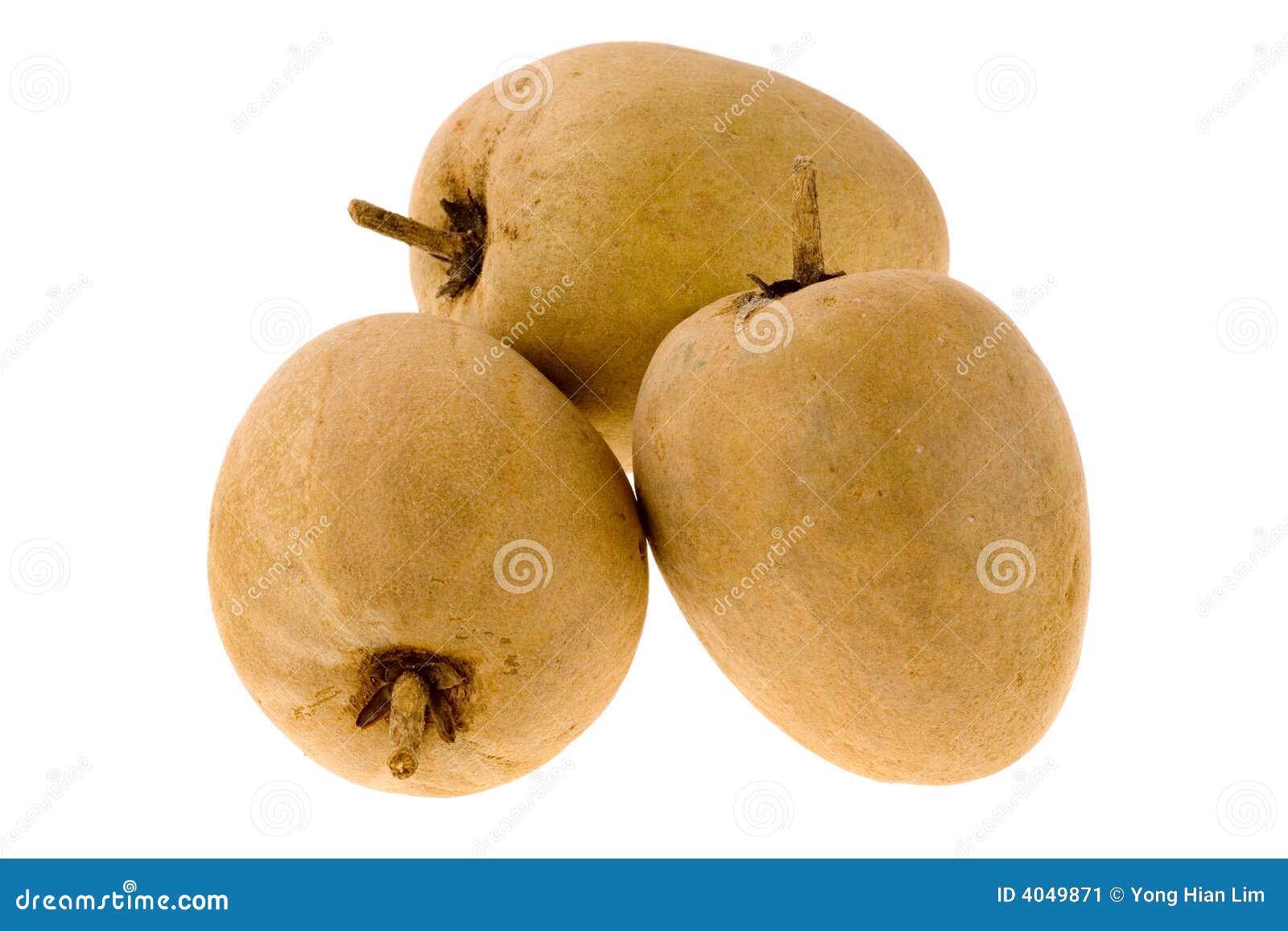 Tropical fruit Chiku stock image. Image of healthy, three 4049871