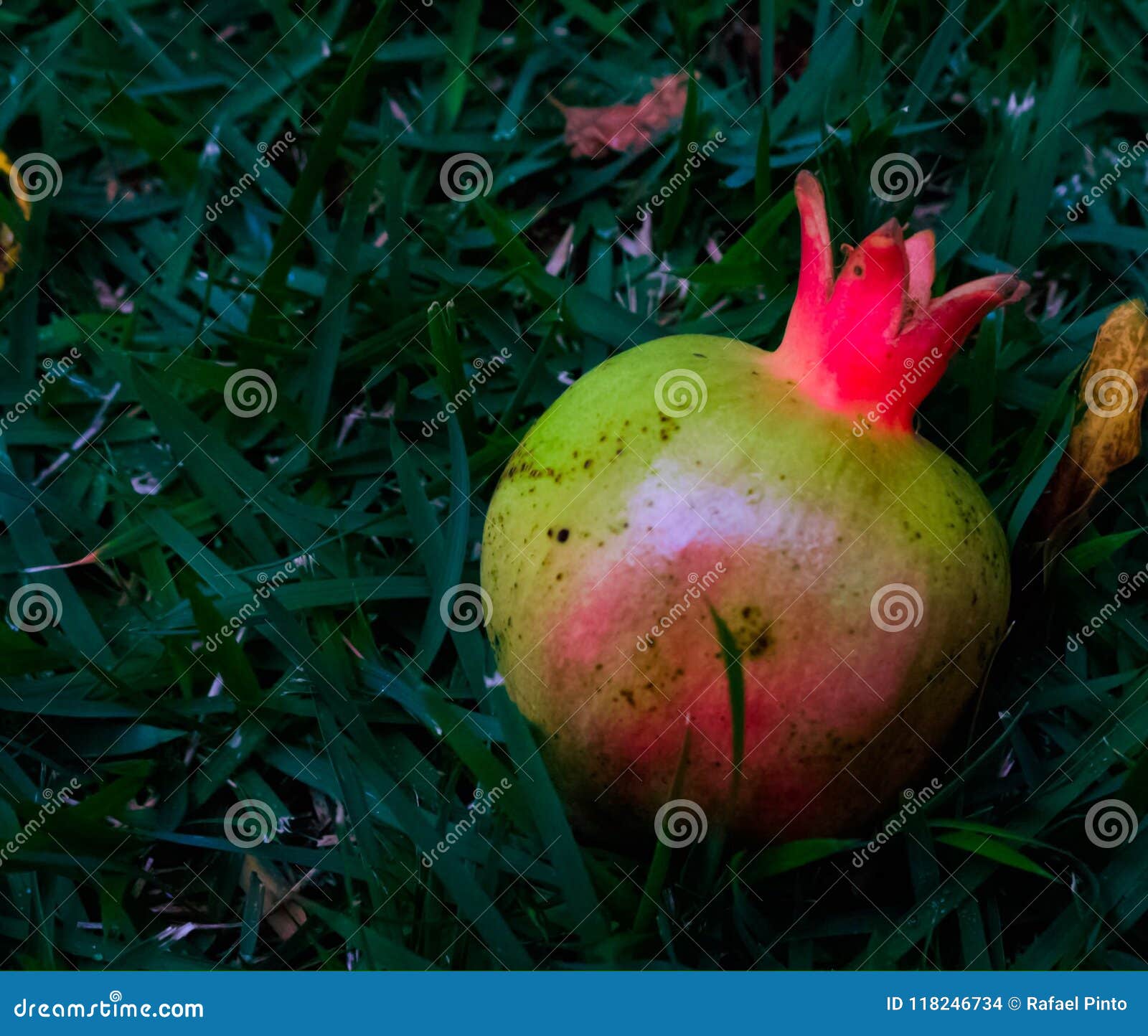 My Image 29