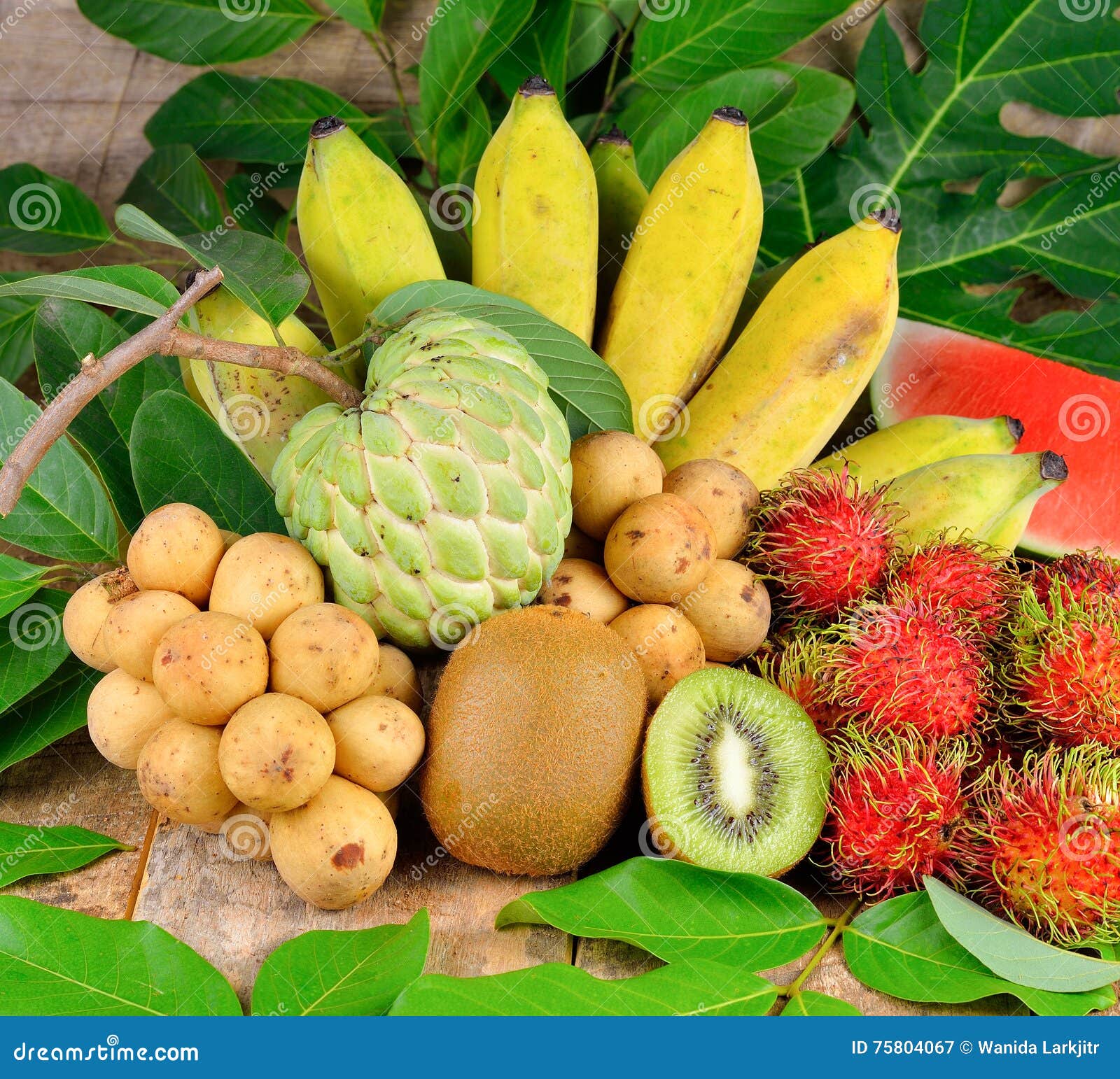 Tropical Fruits Collection. Stock Image Image of vitamins, kiwi 75804067