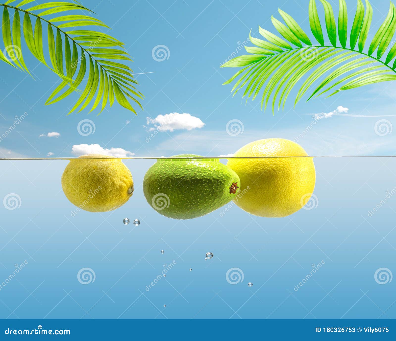 Tropical Fruits Float on a Flat Surface of the Water. Palm Branches ...