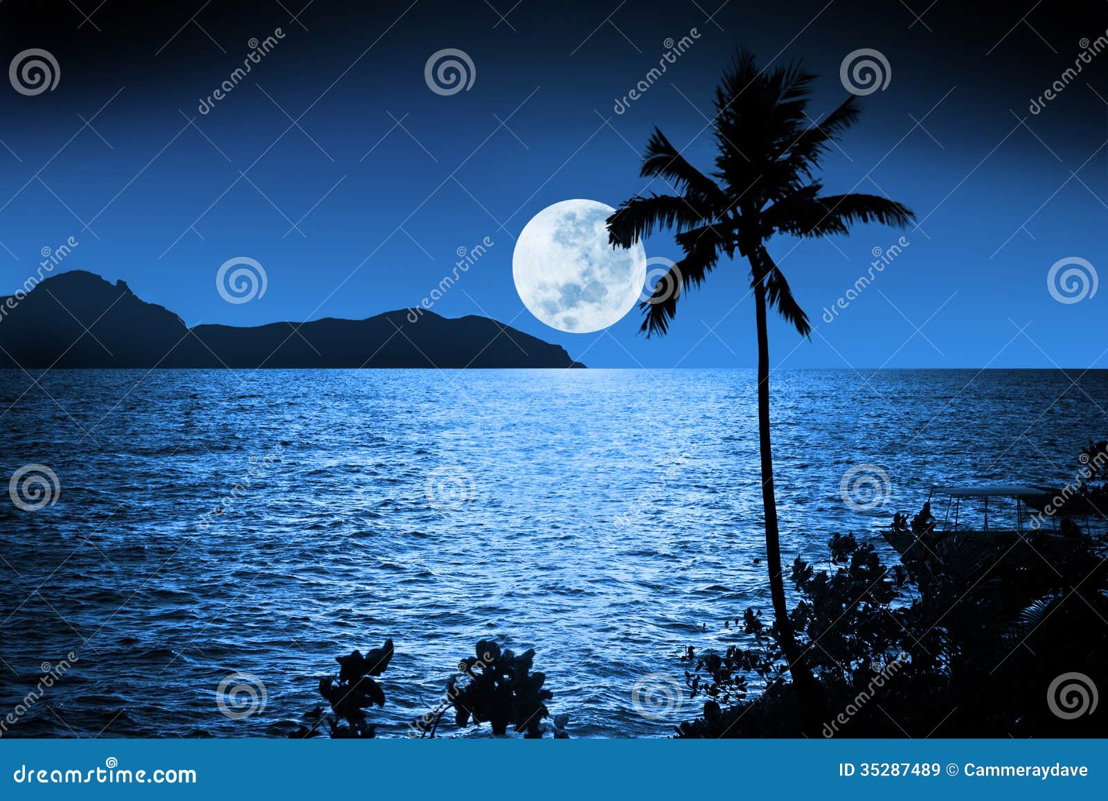 ocean night moon sky tropical