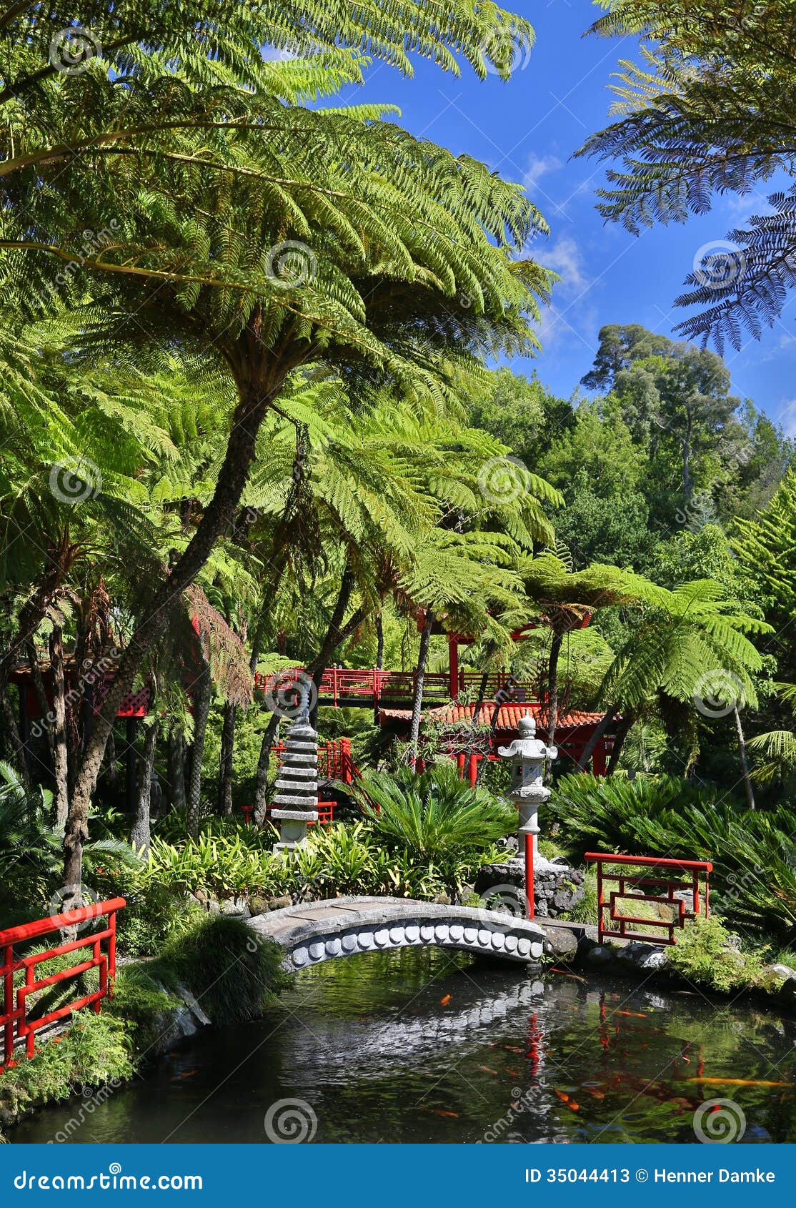 tropical garden funchal madeira portugal oriental jardim monte palace 35044413