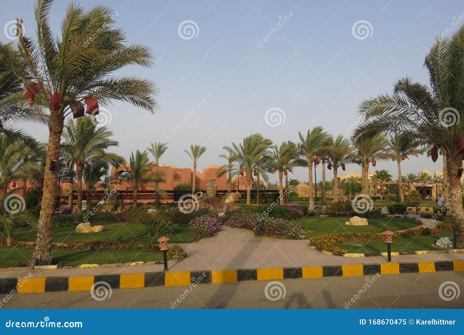 Tropical Garden With Ornamental Flowers And Palm Trees In A Hotel