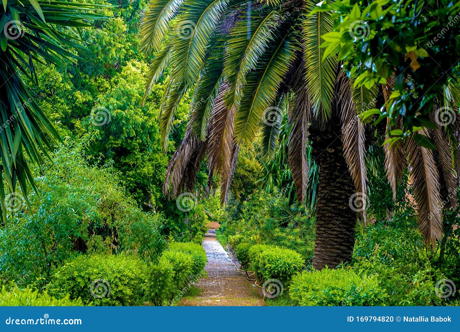 Tropical Garden In Sala Colonia And Islamic Complex Chellah