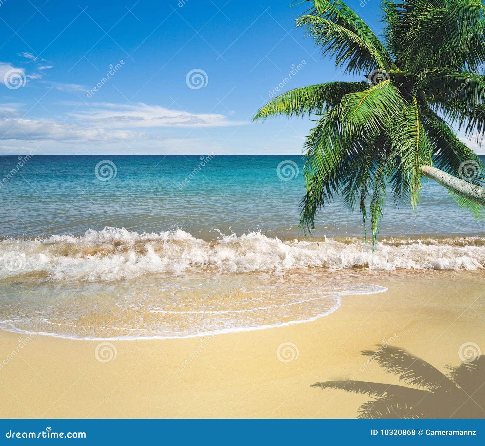 Tropical golden sand beach stock photo. Image of space - 10320868